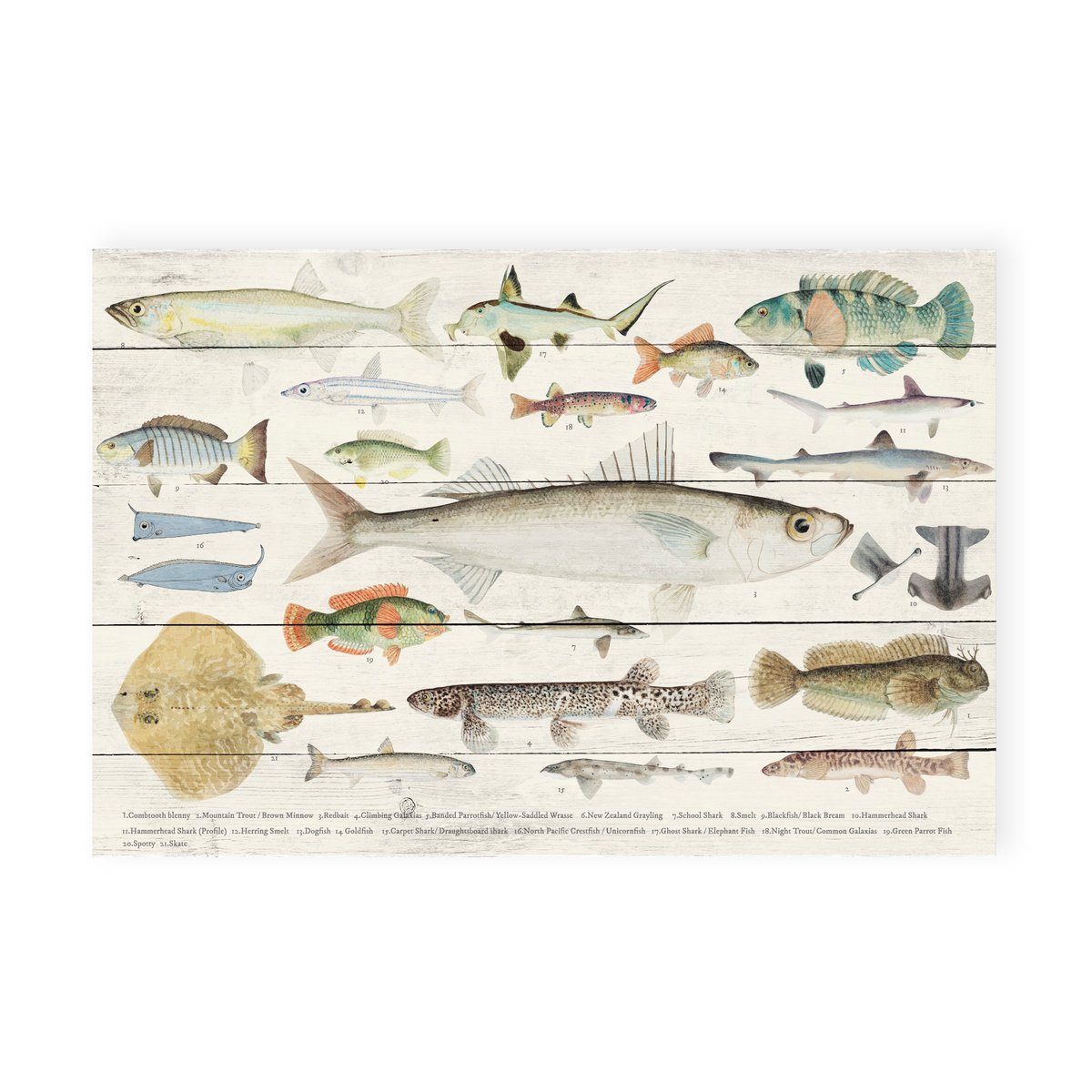 Panneau décoratif en bois POISSON poissons, REALLY NICE THINGS