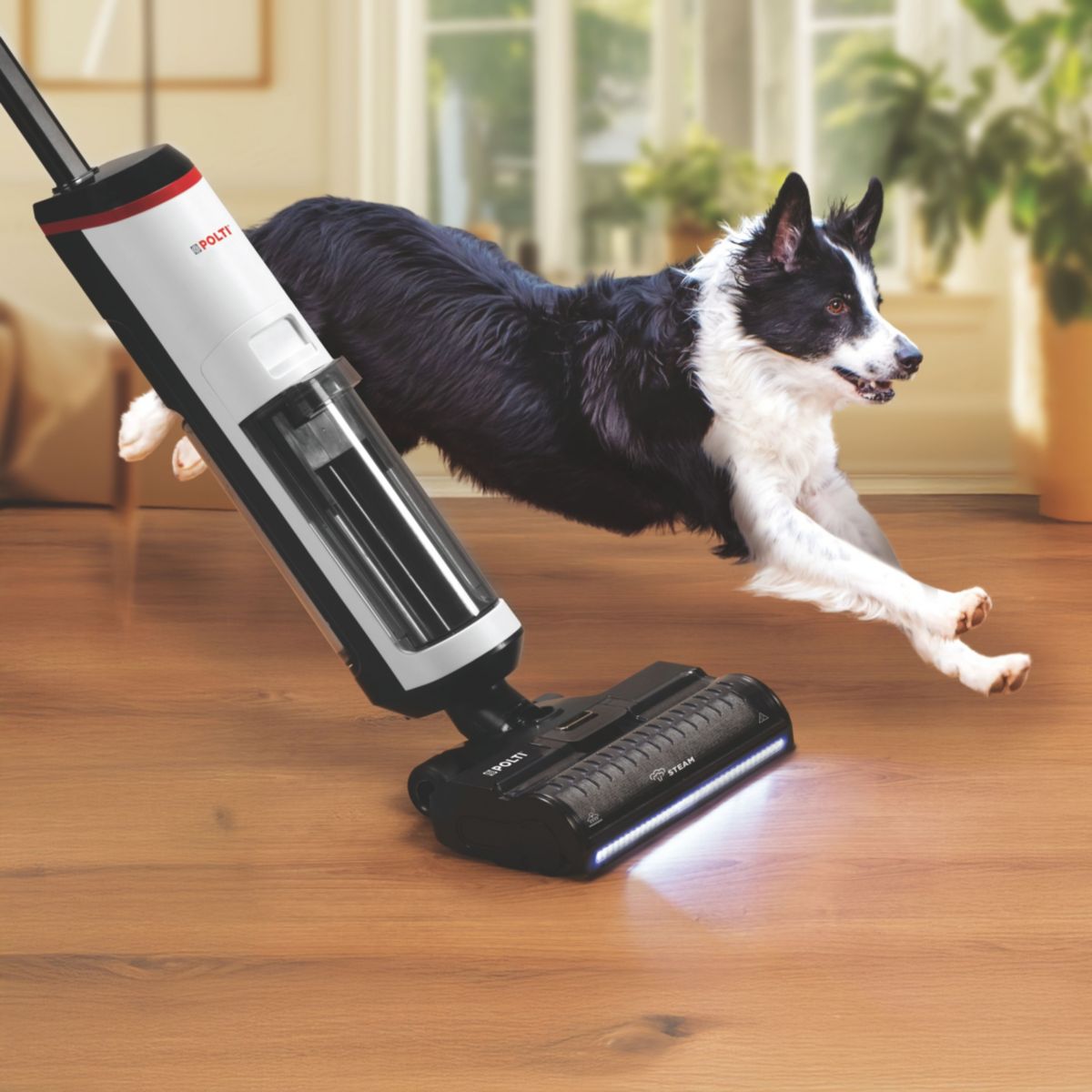 Aspirateur laveur RollySteam WD30C sans fil avec fonction vapeur couleur unique, POLTI
