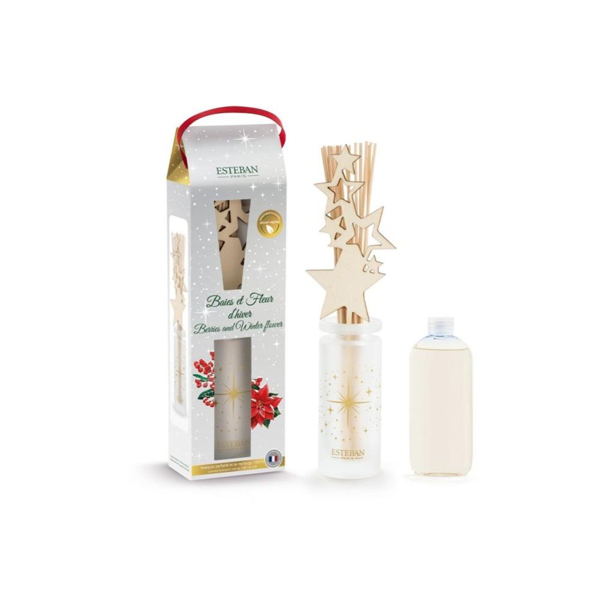 Parfum d'intérieur - Bouquet parfumé Baies et Fleurs d'hiver 100 ml transparent, ESTEBAN