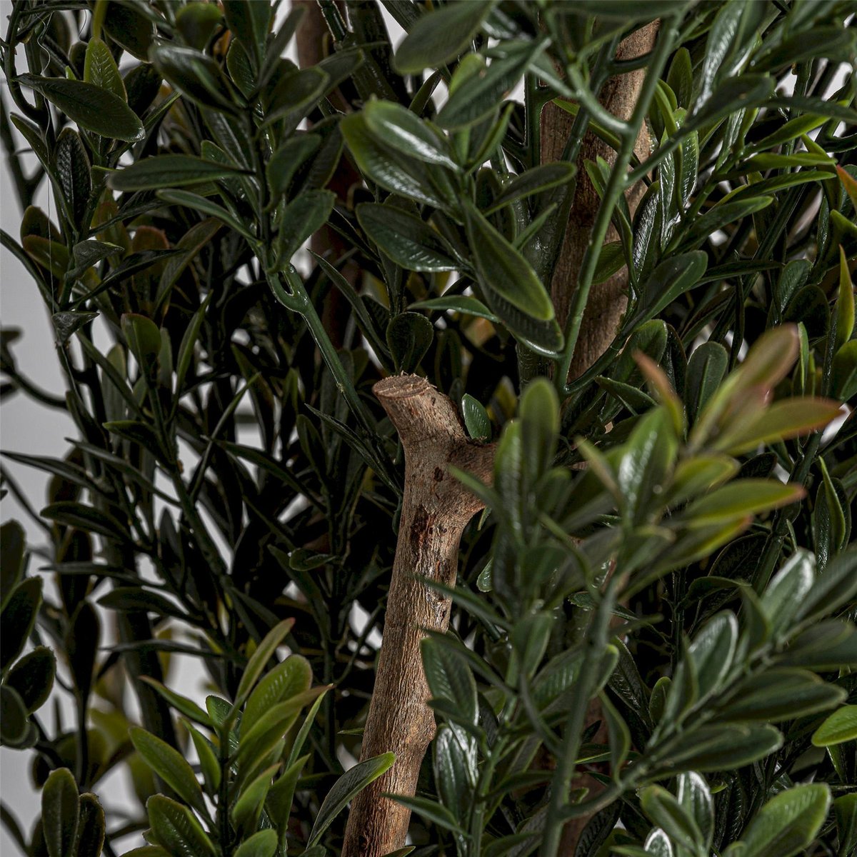 Plante décorative en pot, Lot de 2 vert noir et marron, RECOLLECTION