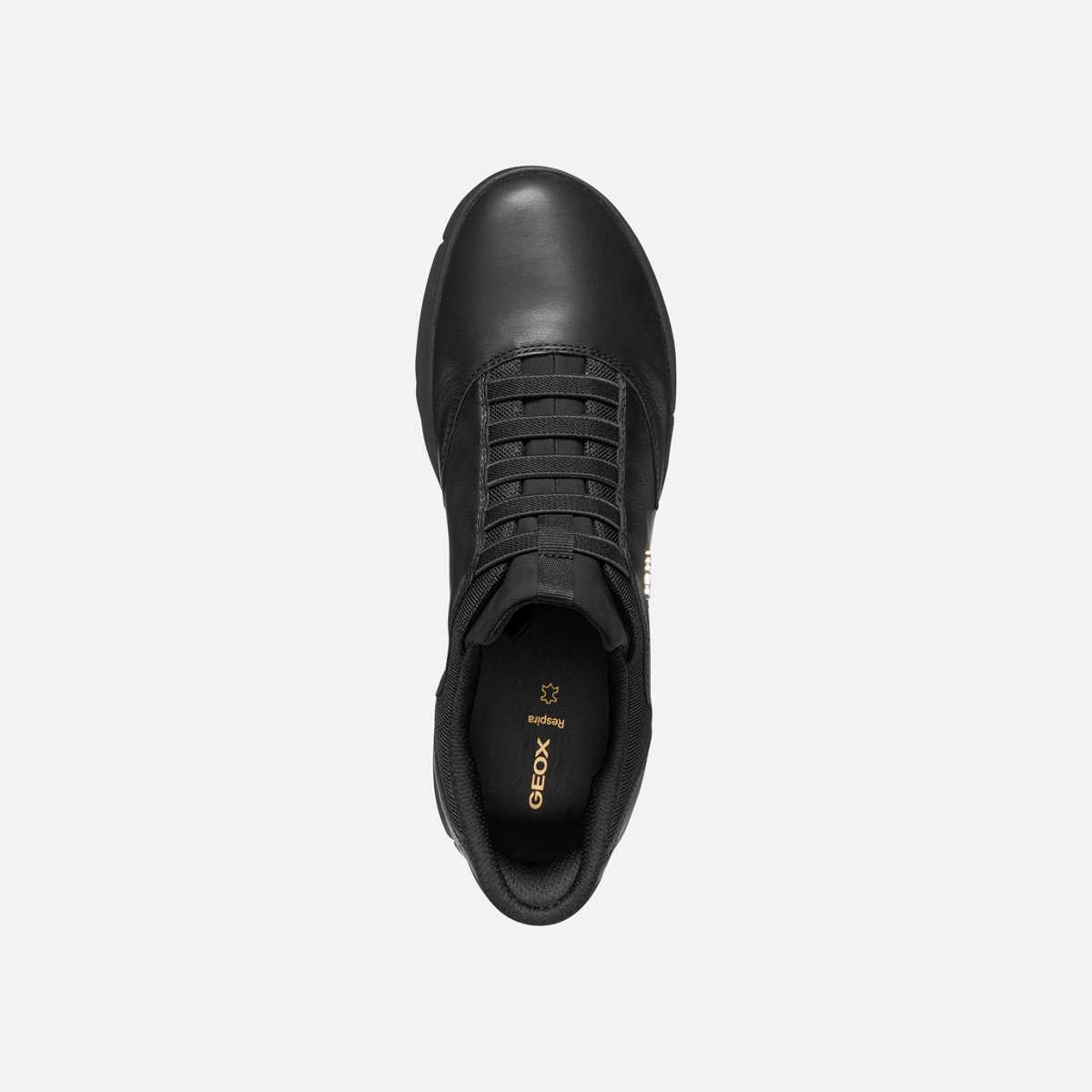 Baskets D NEBULA 2.0 PLUS noir, GEOX