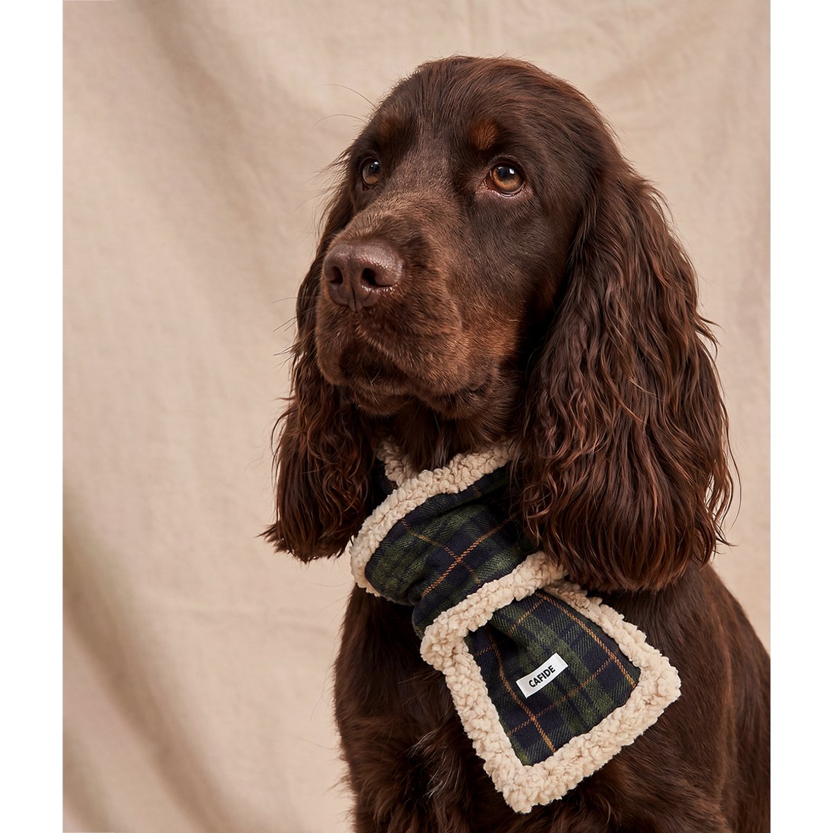 Écharpe tartan verte pour chien, Mica vert, CAFIDE