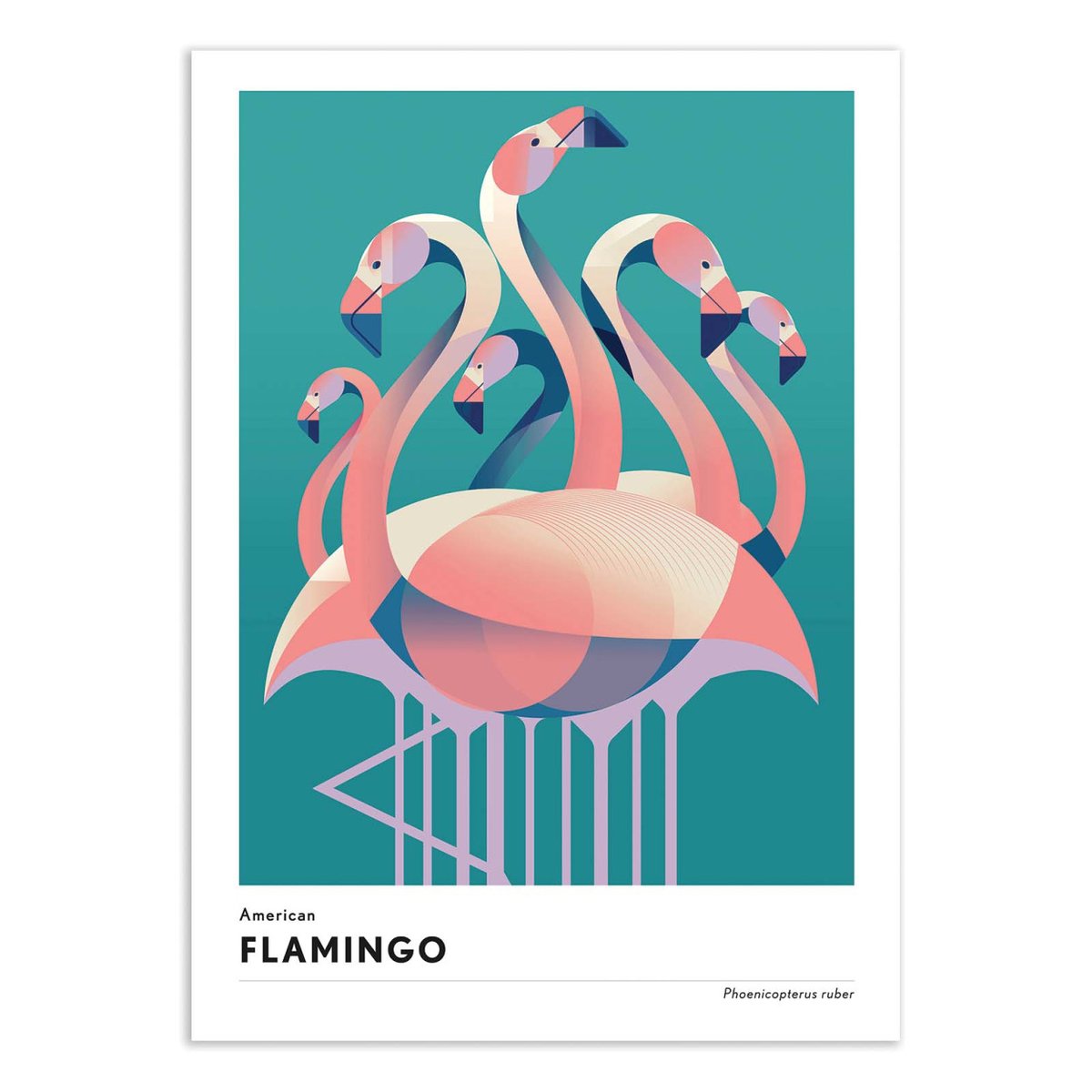 Affiche d'art - American flamingo - Mark Harrison couleur unique, WALL EDITIONS