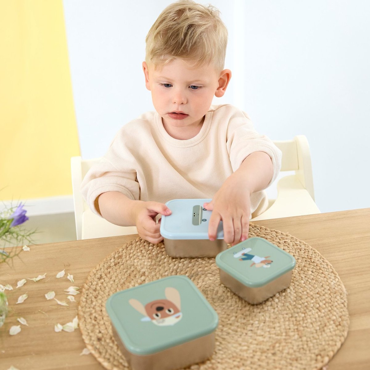Lot de 3 boîtes à goûter vert, bleu, marron, LASSIG