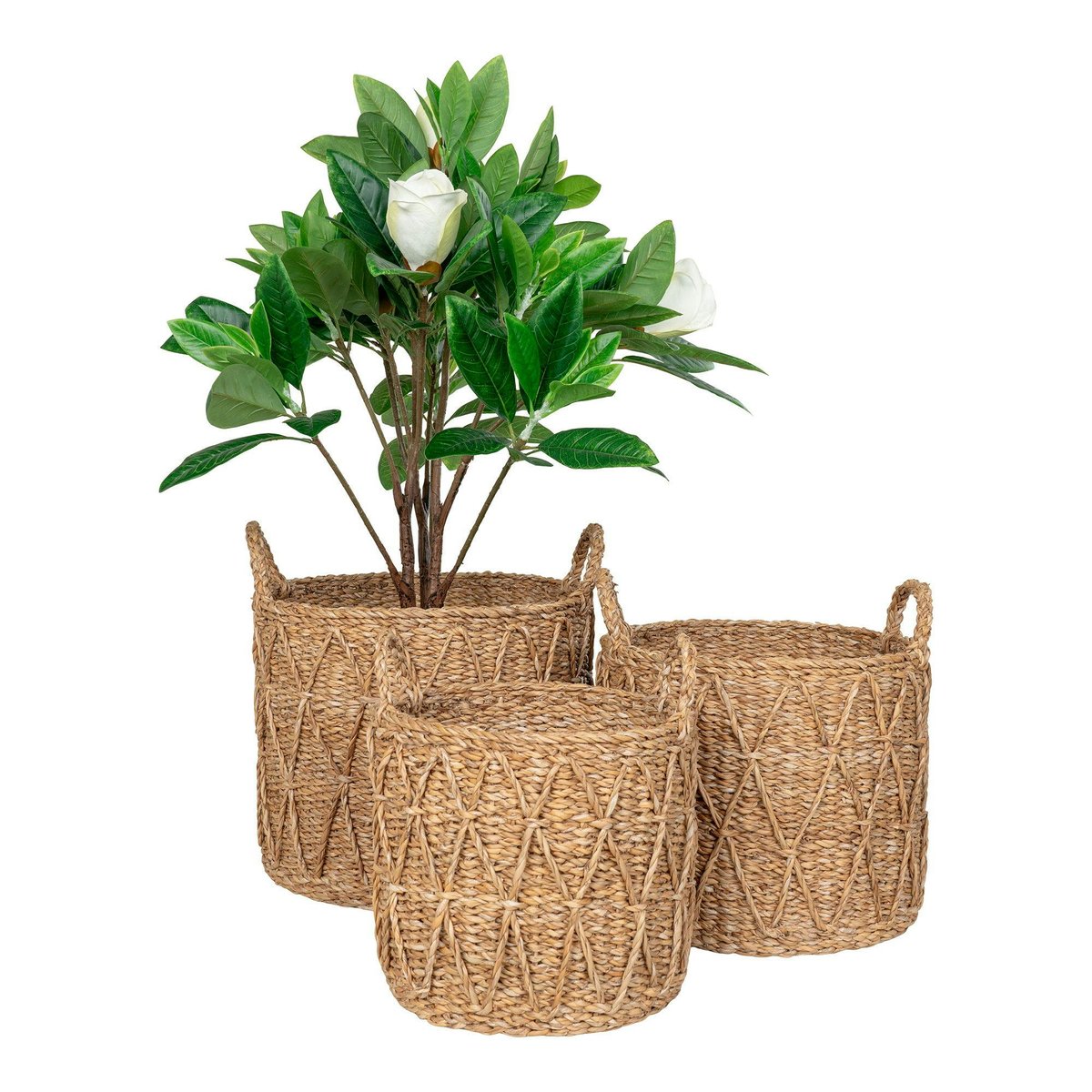 Panier cache-pot en jonc de mer avec motif losange (lot de 3) beige, PIER IMPORT