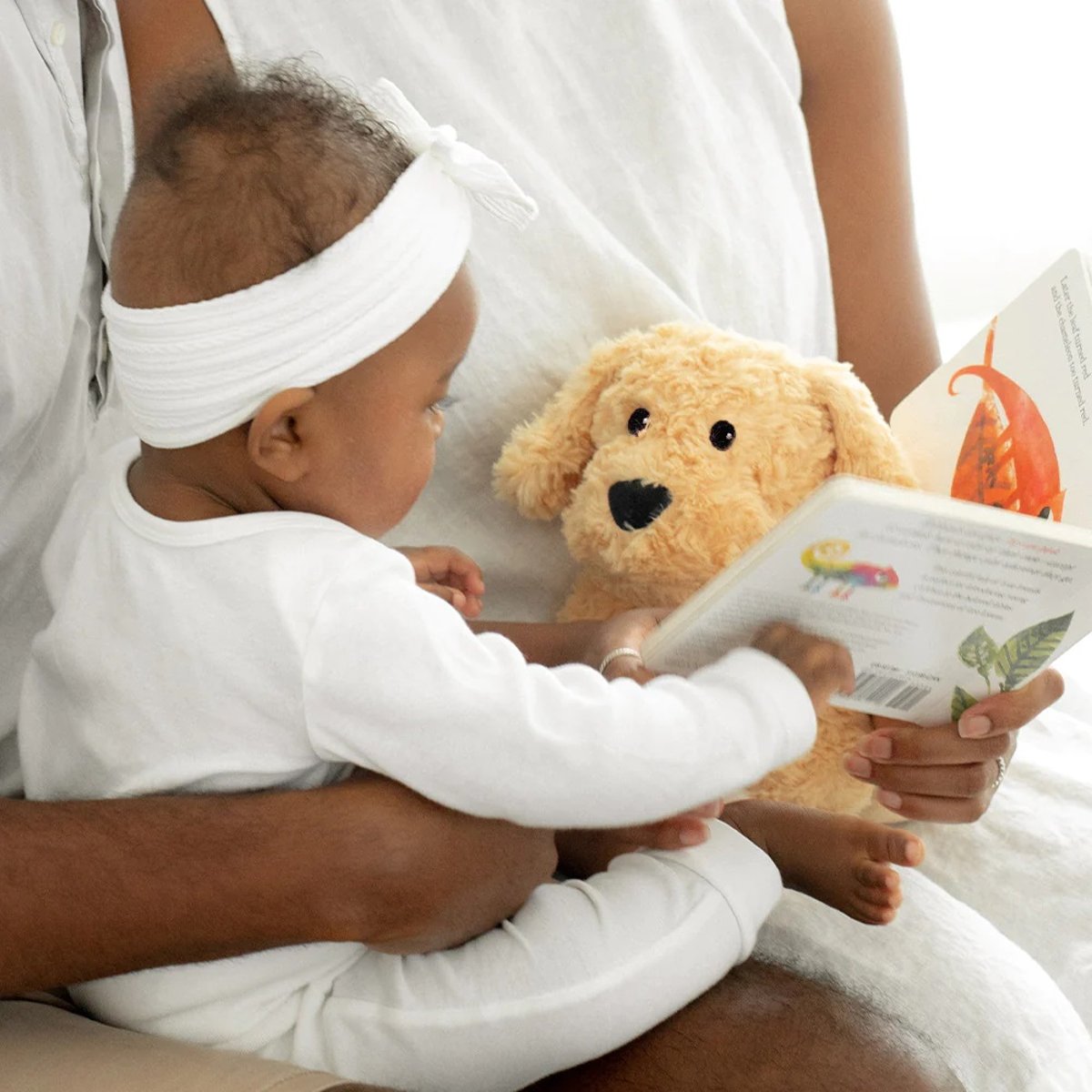 Peluche Bouillotte Chien bouclé beige, WARMIES