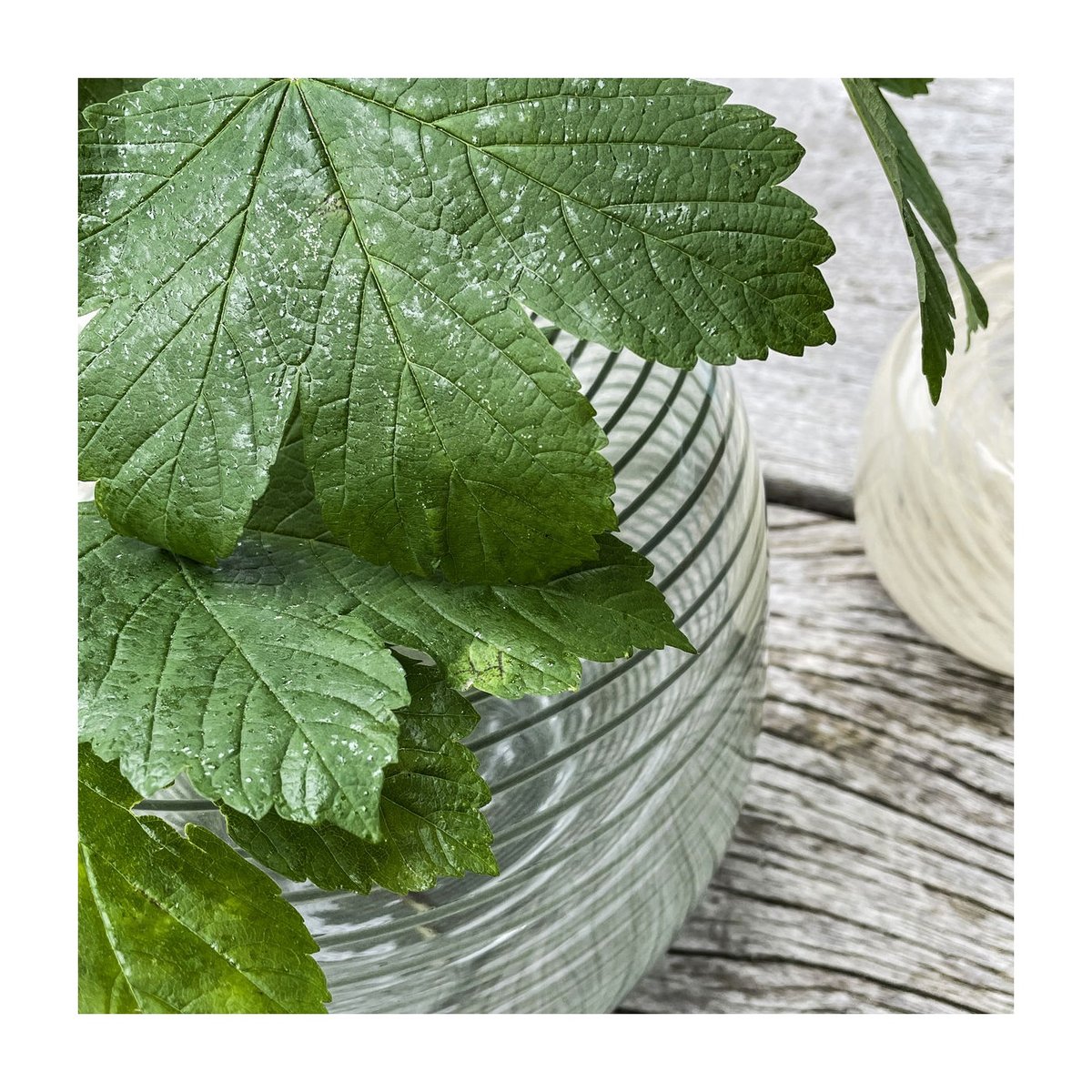 Vase Swirl h 19 cm vert, HOUSE DOCTOR