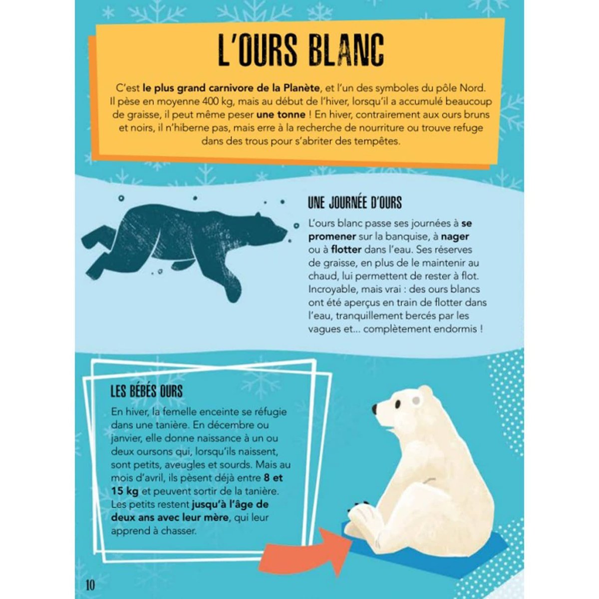 Puzzle & Livre - La Planète en Danger, Les glaces multicolore, SASSI