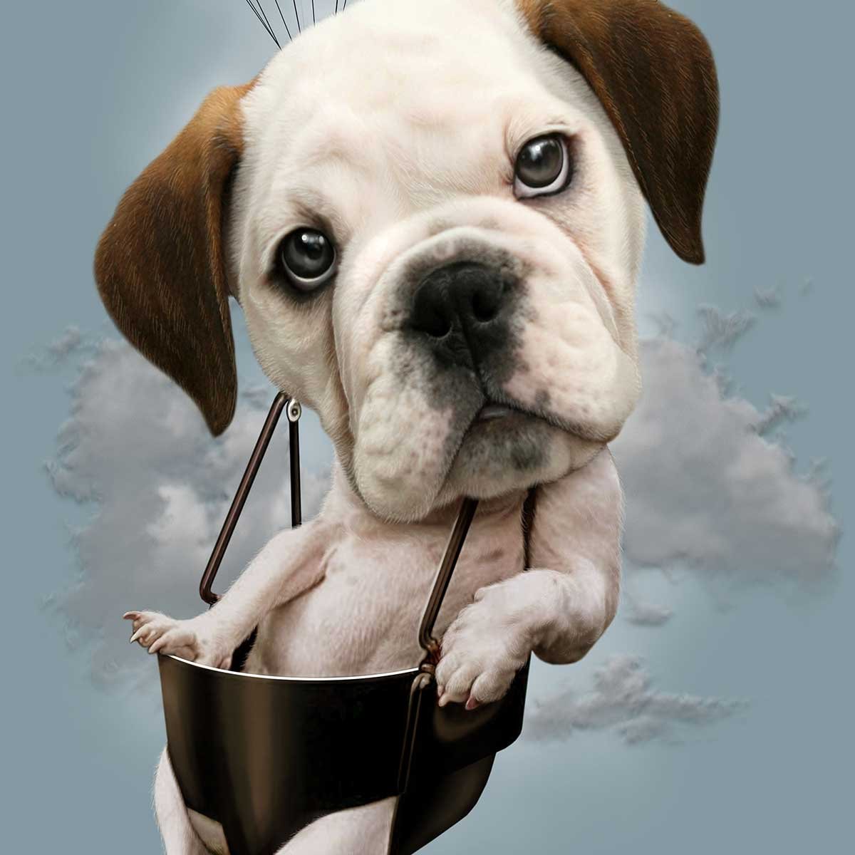Affiche enfant chiot sur parachute affiche seule, HEXOA