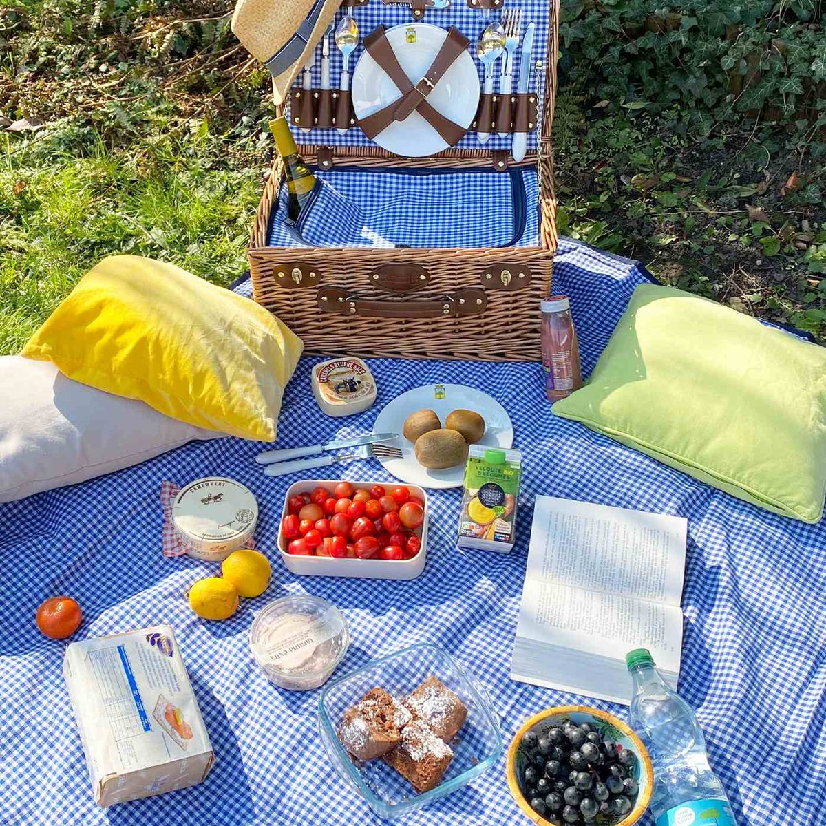 Nappe pique-nique à revers imperméable bleu et blanc, LES JARDINS DE LA COMTESSE