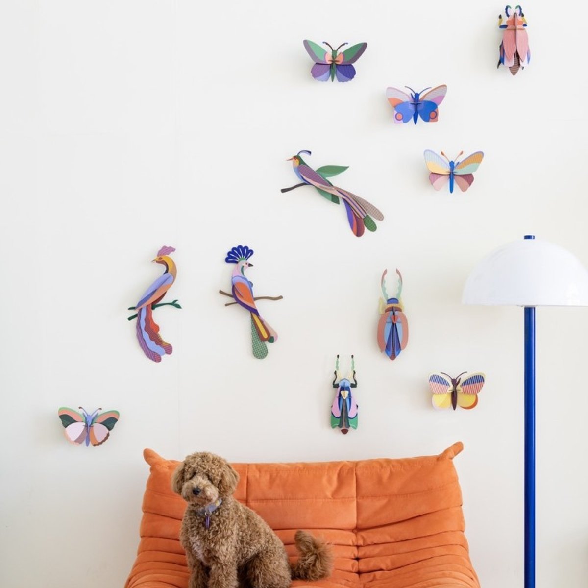 Oiseau de paradis décoratif carton  Paradise Bird Bisa multicolore, STUDIO ROOF