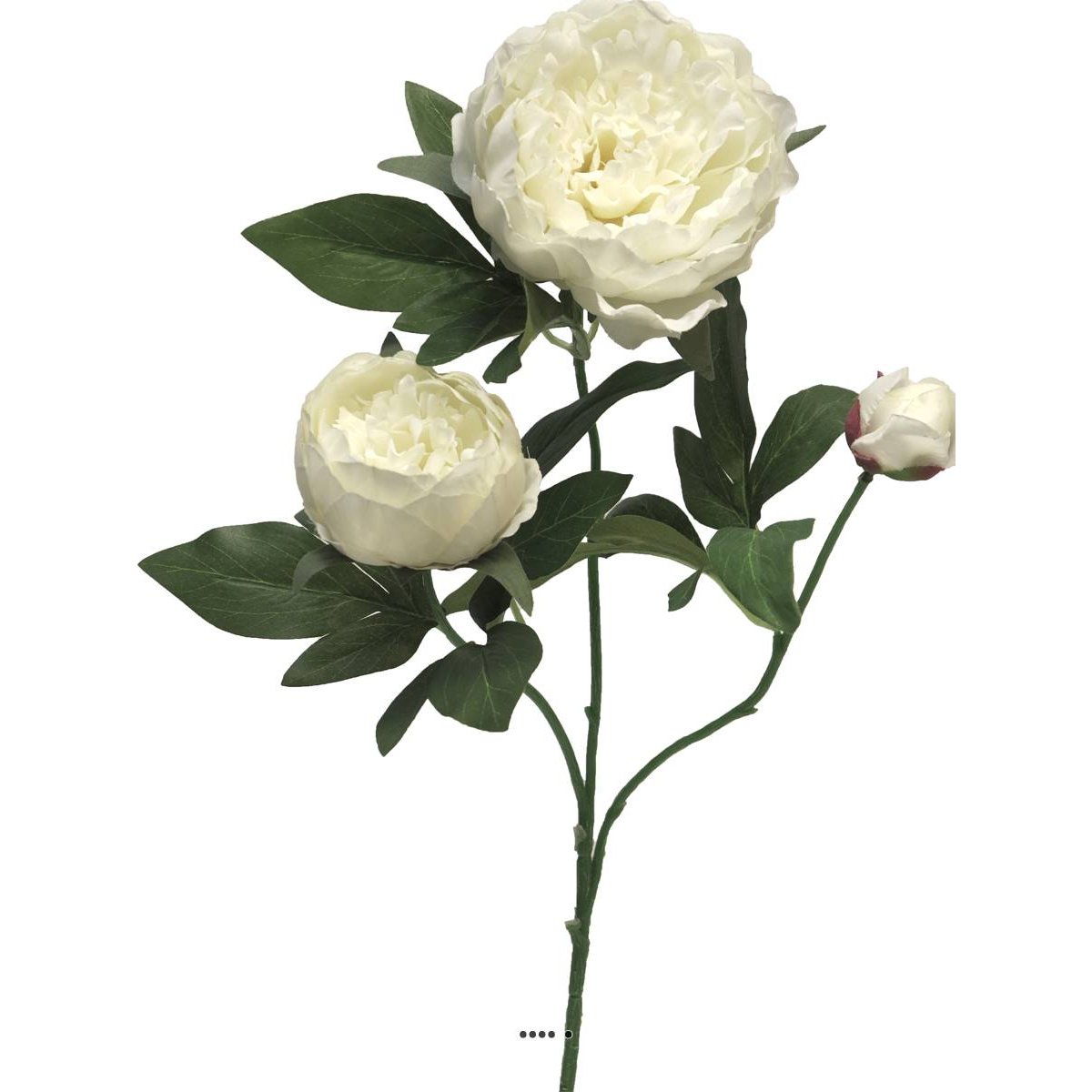 Pivoine artificielle ramifiée, 3 têtes, H crème, ARTIFICIELLES