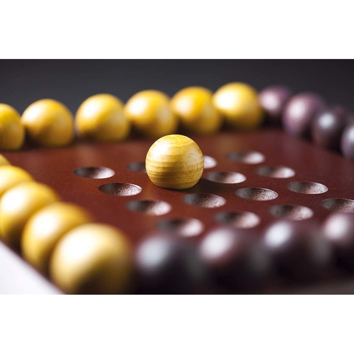 Pylos marron, GIGAMIC
