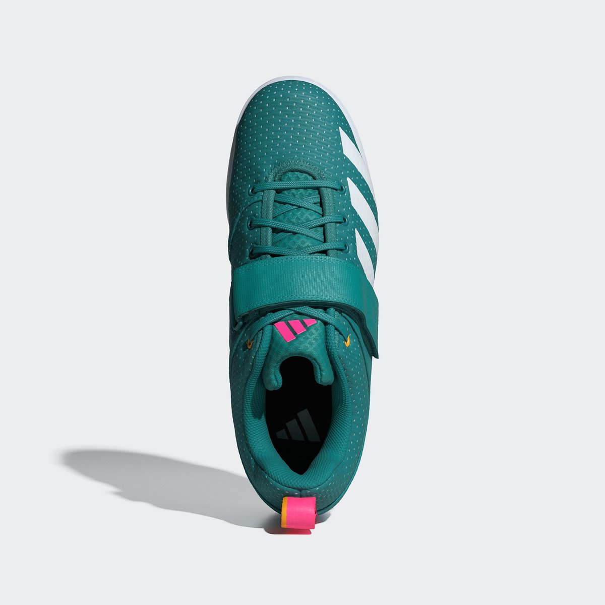 Chaussure D'haltérophilie Powerlift 5 pure teal / cloud white / powder teal, adidas Performance