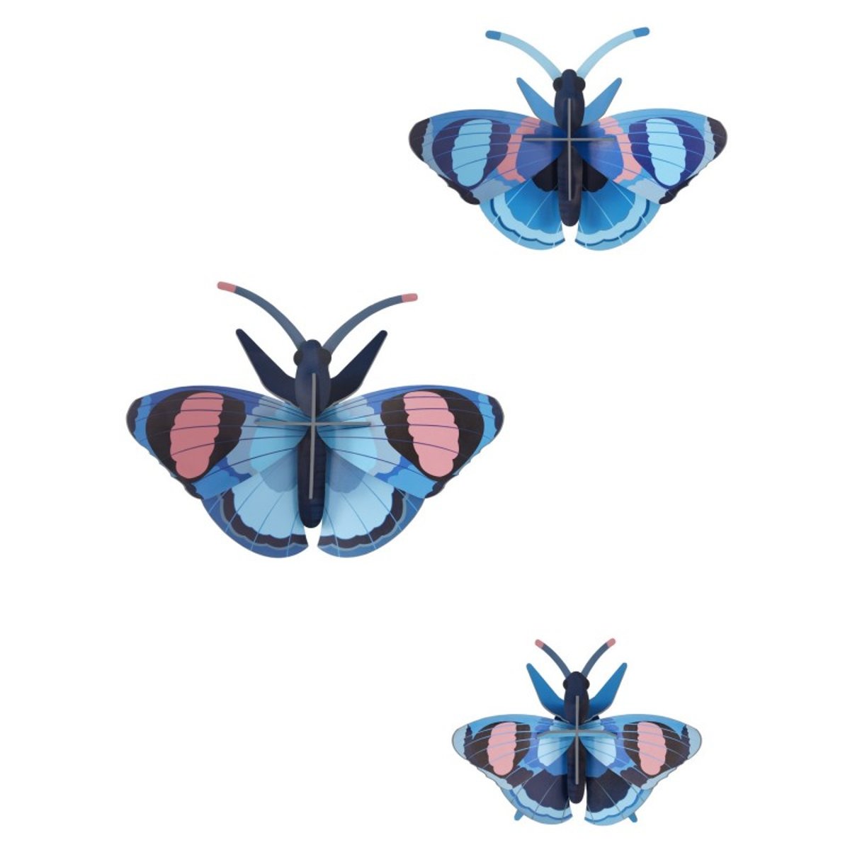 Papillon paon du jour décoratif carton set de 3 bleu, STUDIO ROOF