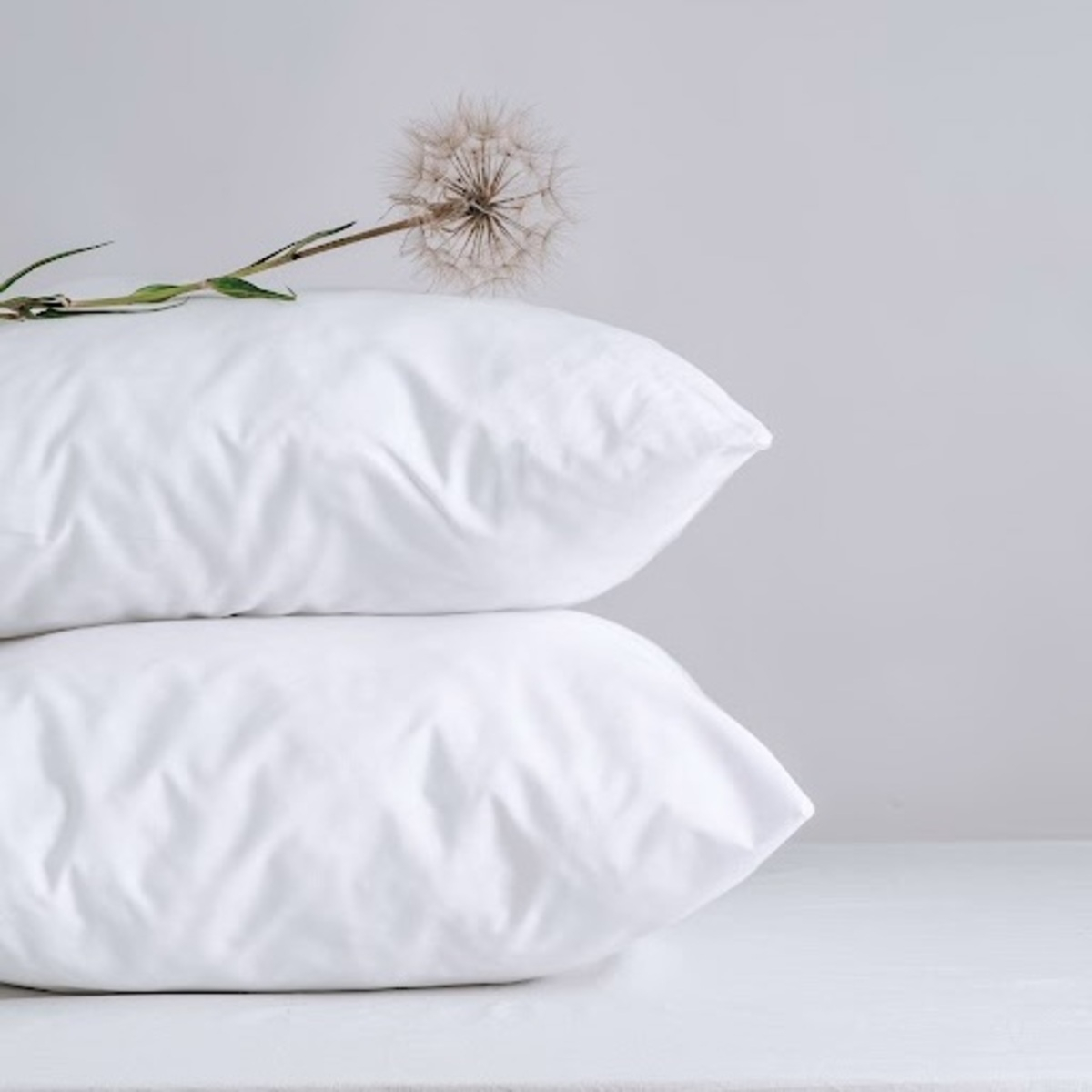 Protège oreiller - Molleton Coton Bio blanc, TRADITION DES VOSGES