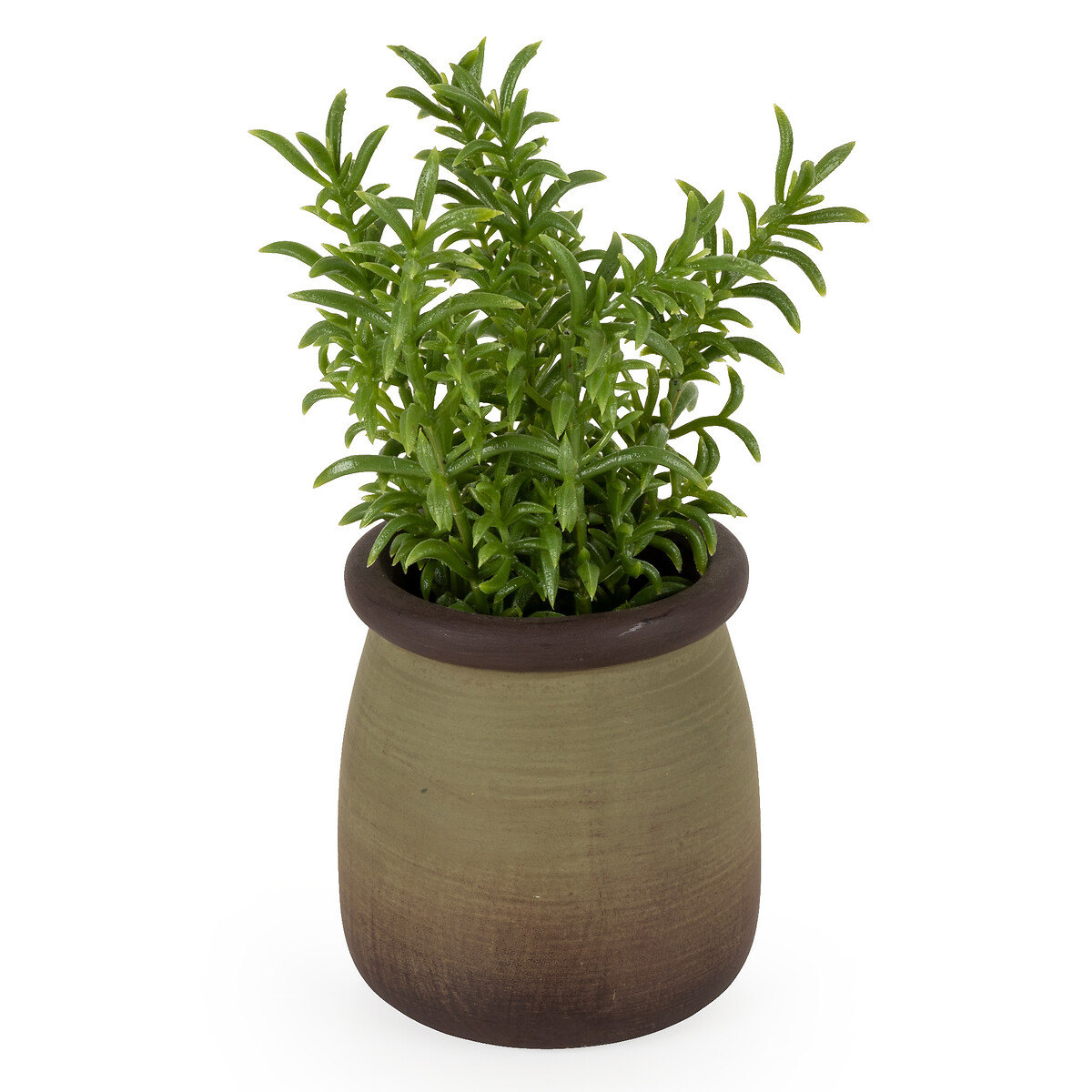 15.8cm Artificial Sedum Linare Plant in Pot green, SO'HOME