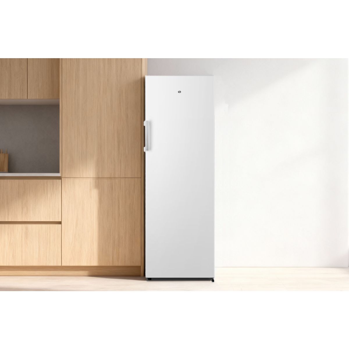 Congélateur armoire ECAV170-55hib4 couleur unique, ESSENTIEL B