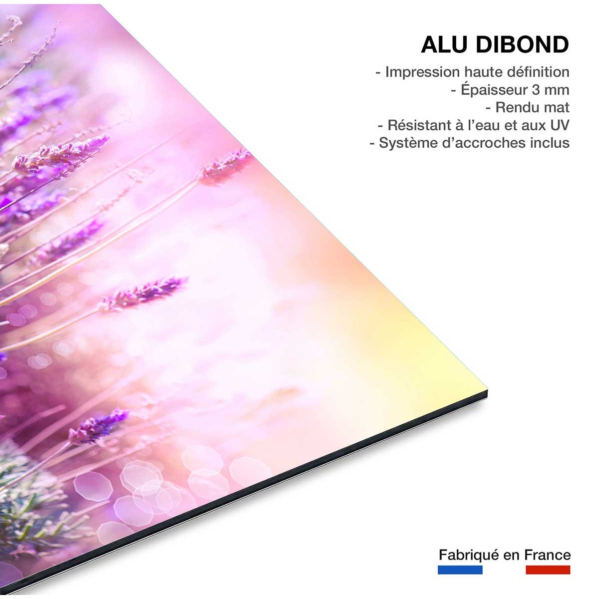 Tableau zoom lavande provençale tableau alu dibond, HEXOA