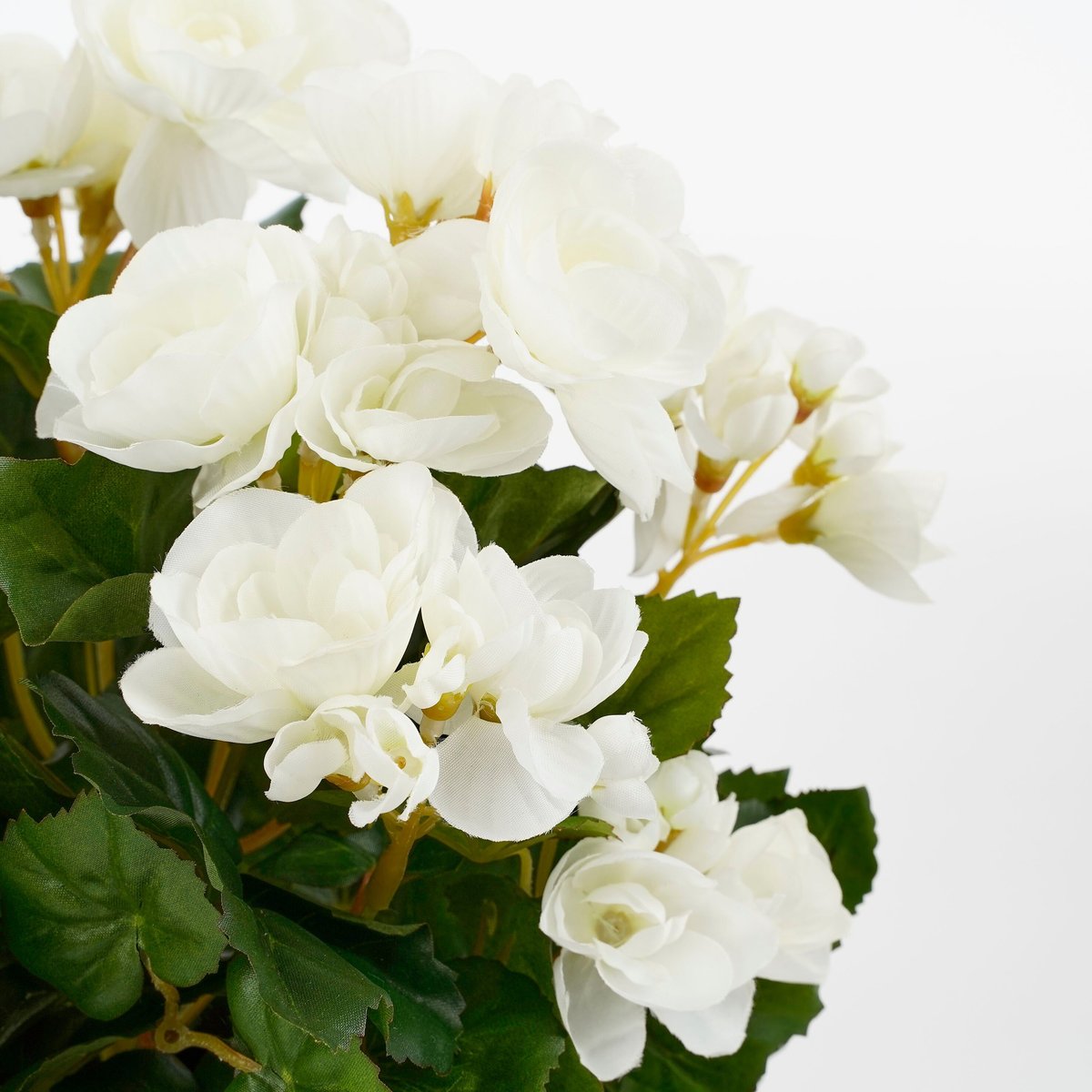Plante artificielle BEGONIA blanc, MICA DECORATIONS
