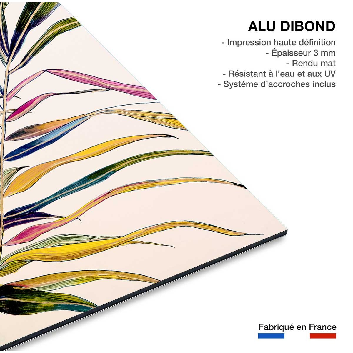 Tableau peinture fleurs palm color tableau alu dibond, HEXOA