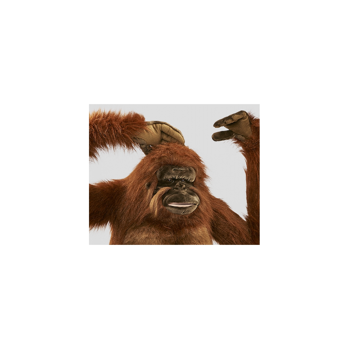 Hansa Peluche Geante Orang Outang 90 cm H couleur unique, HANSA