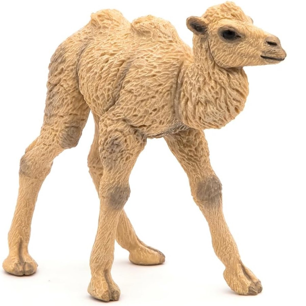 Figurine Bébé chameau beige, PAPO