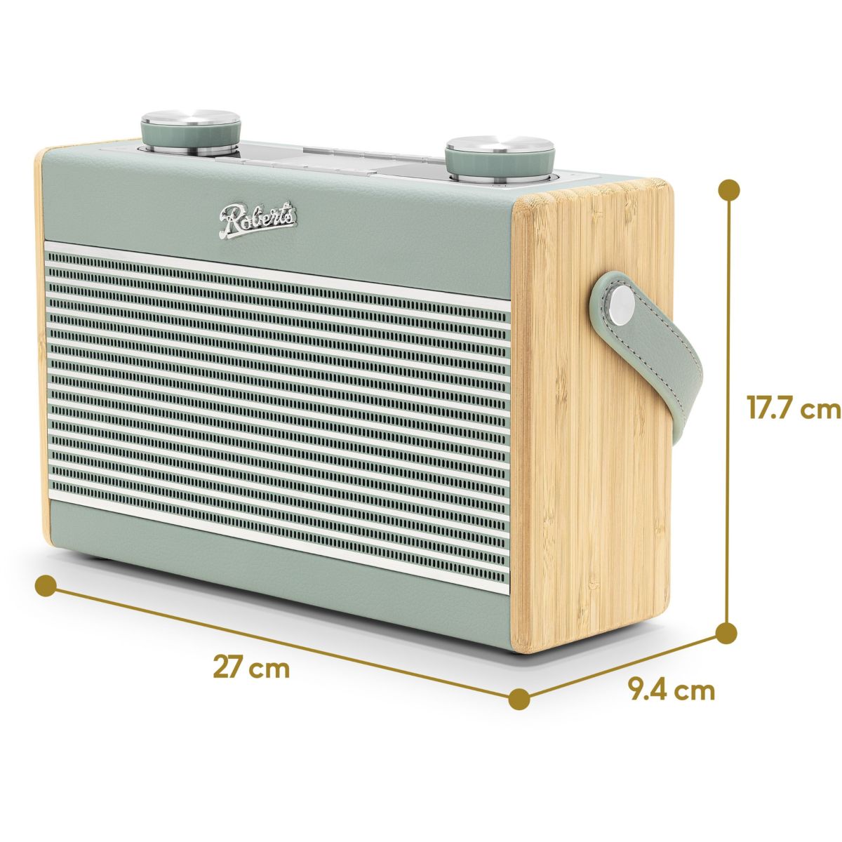 Radio internet RAMBLER MAX BLEU CIEL couleur unique, ROBERTS