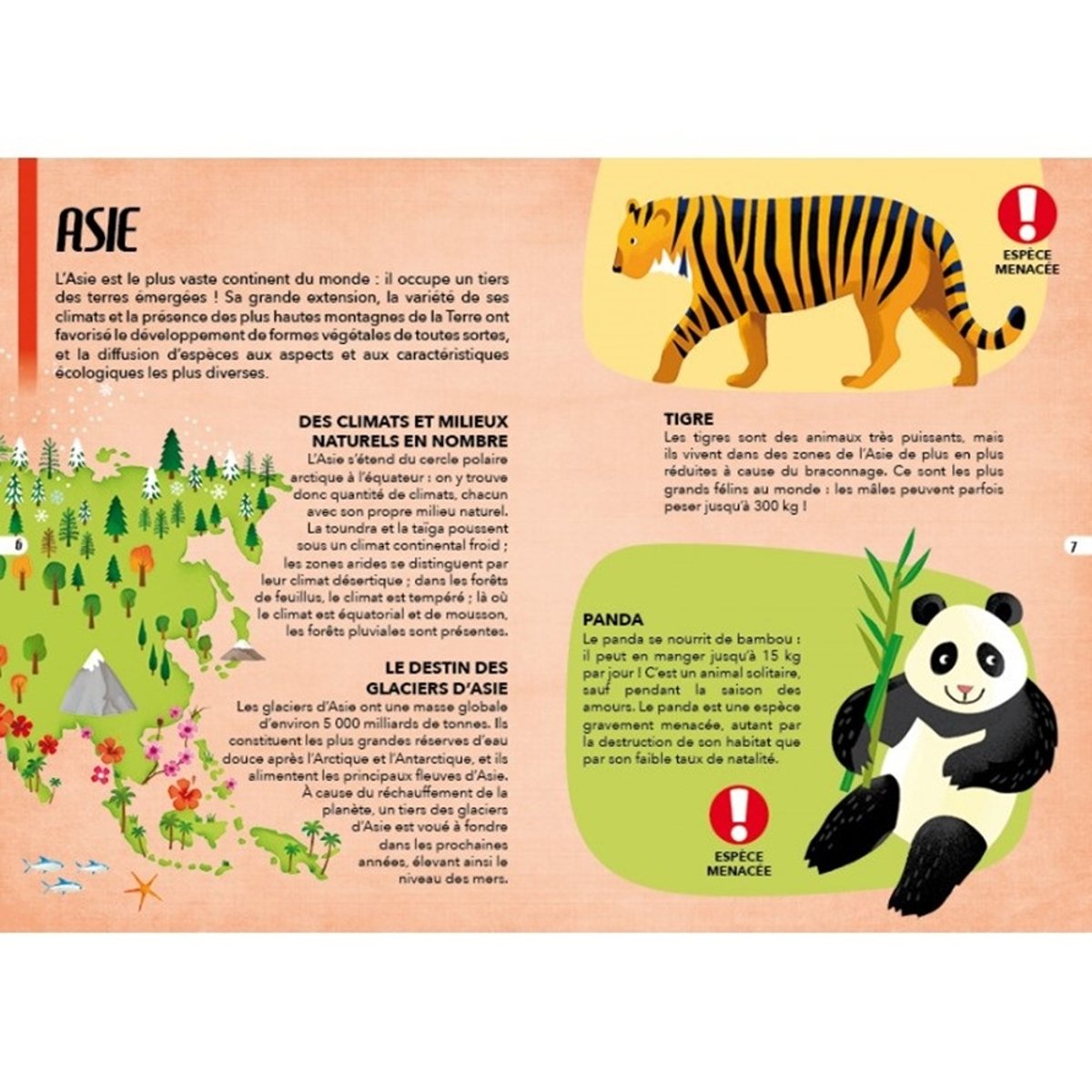 Voyage, découvre, explore Les animaux vert, SASSI JUNIOR