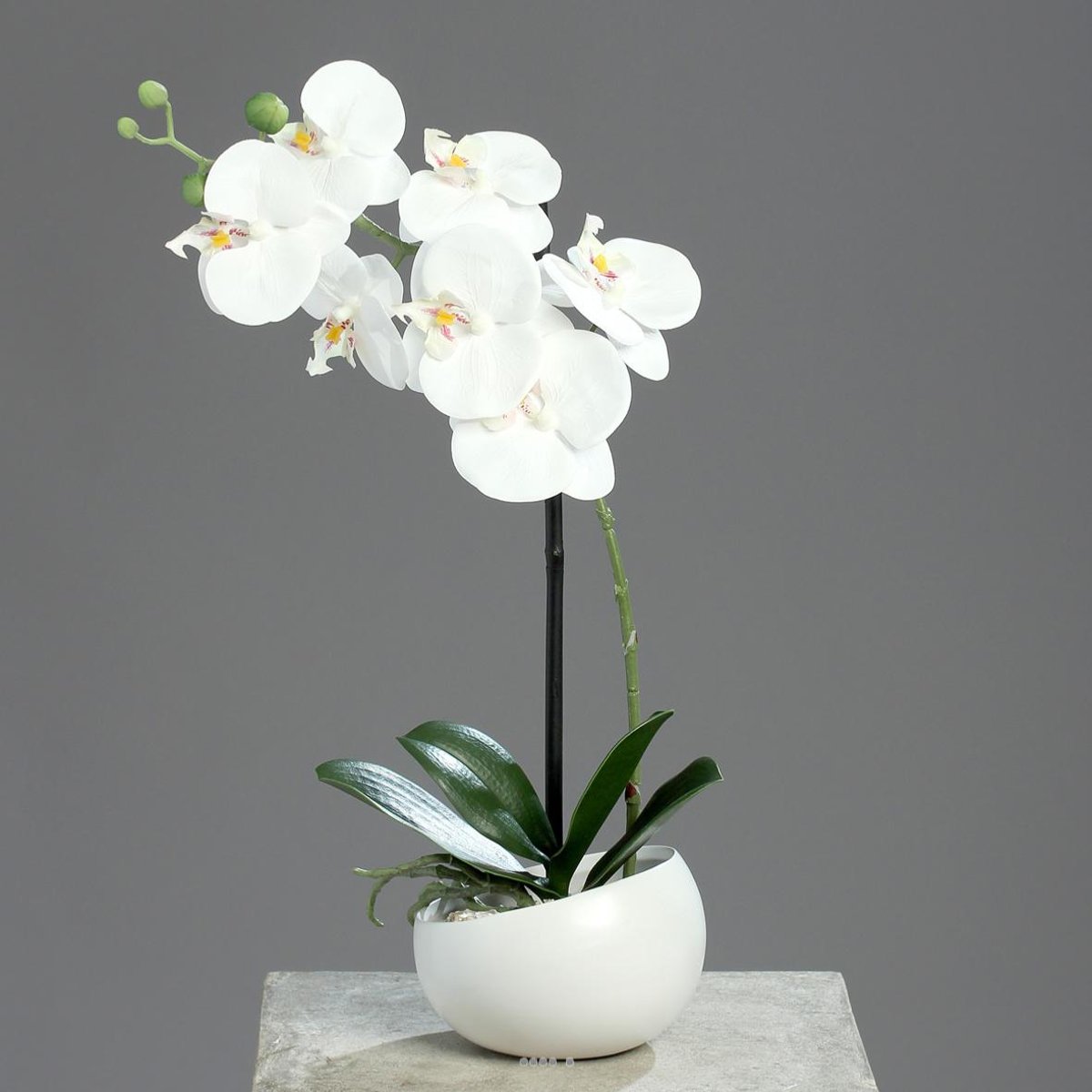 Orchidée factice 1 hampe coupe céramique H40 blanc neige, ARTIFICIELLES