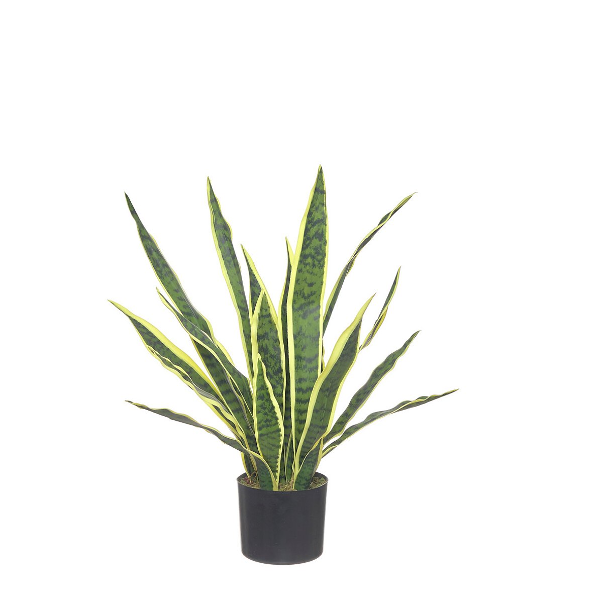 Planta artificial "Snake" 60cm, BORGHESI verde, BORGHESI