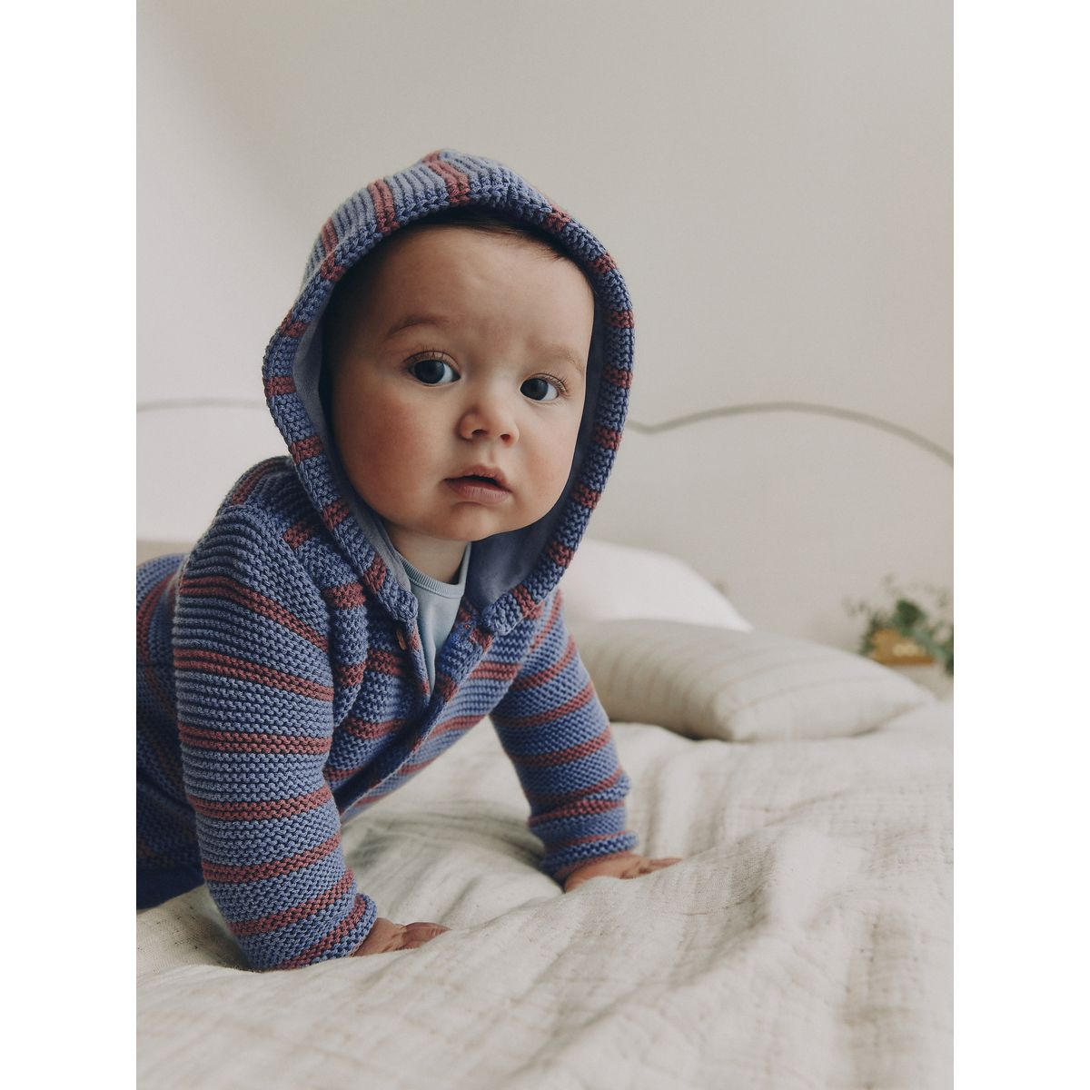 Cardigan bébé en maille rayures bleues et bordeaux, NEXT