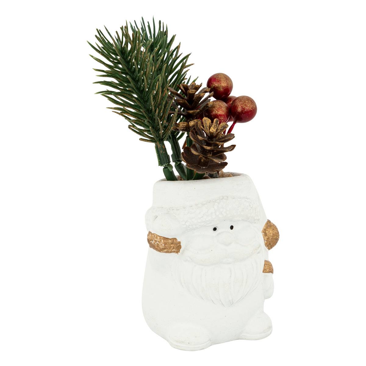 Plante en pot Noël H12cm multicolore, ATMOSPHERA