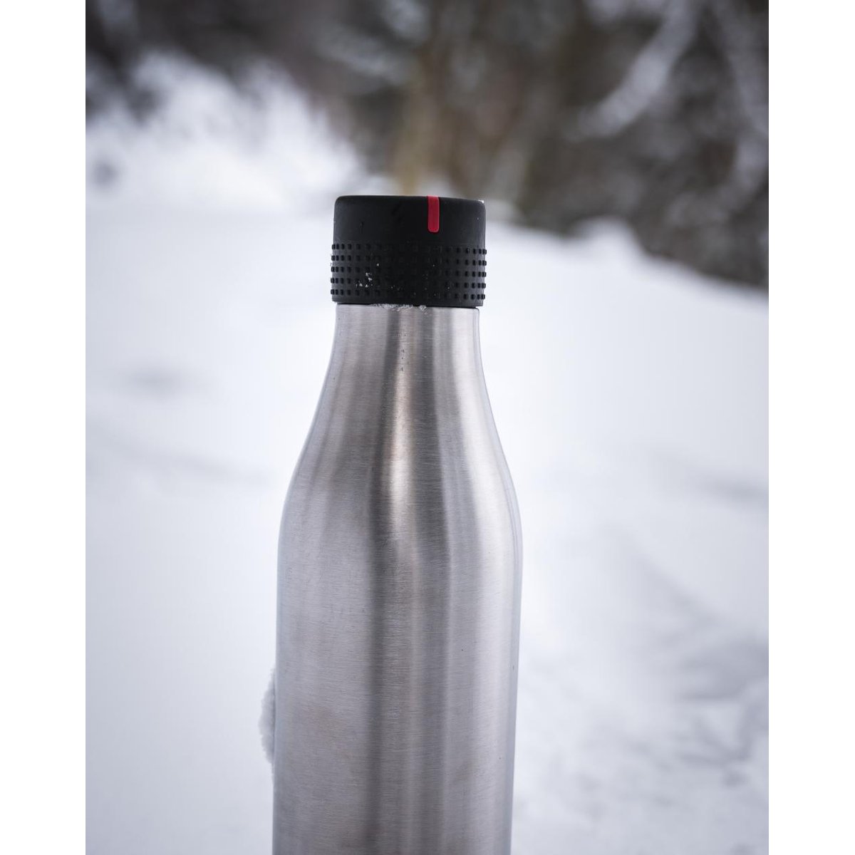 Bouteille isotherme Argentée 750 ml gris, LES ARTISTES PARIS