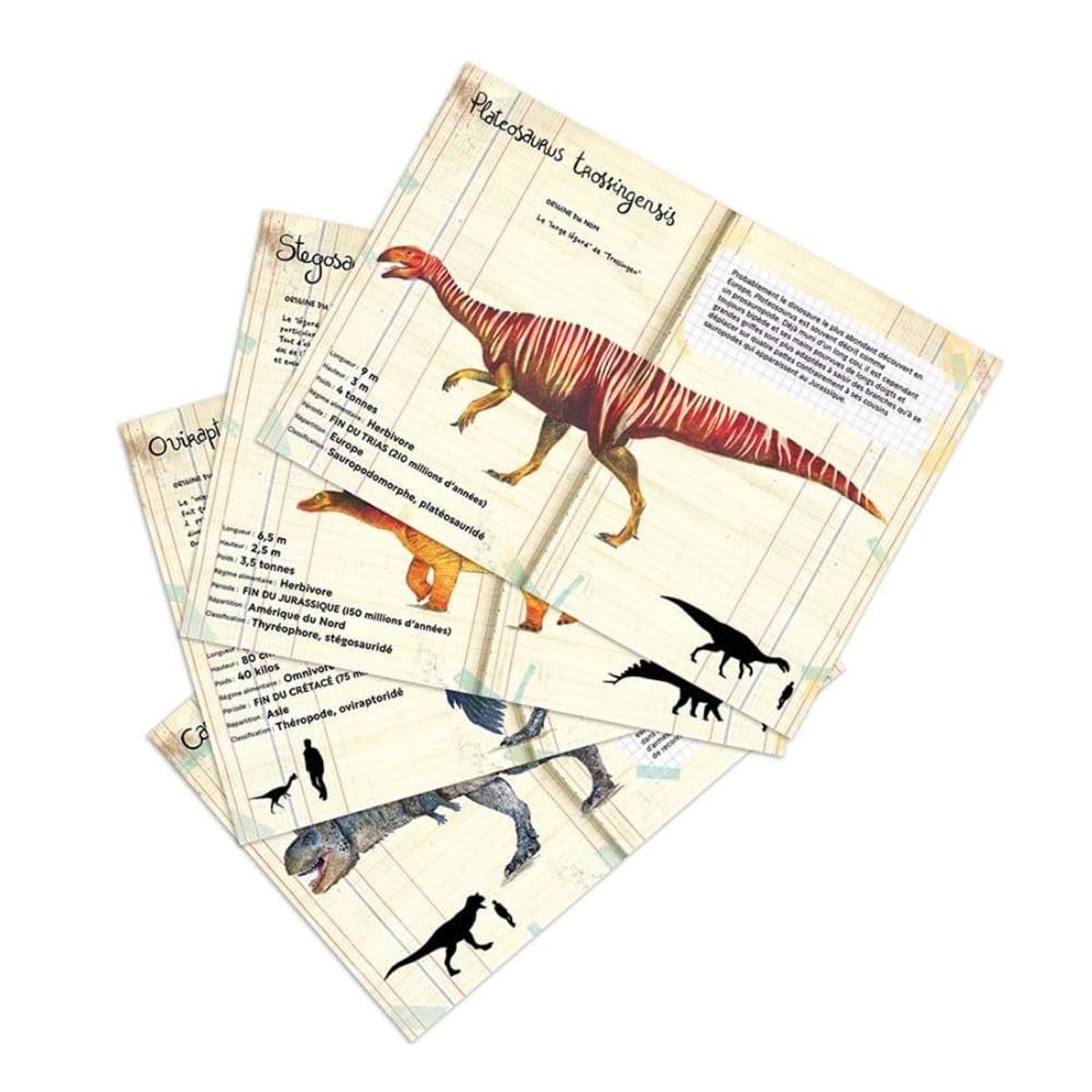 Puzzle dinosaures 500 pièces beige, VILAC