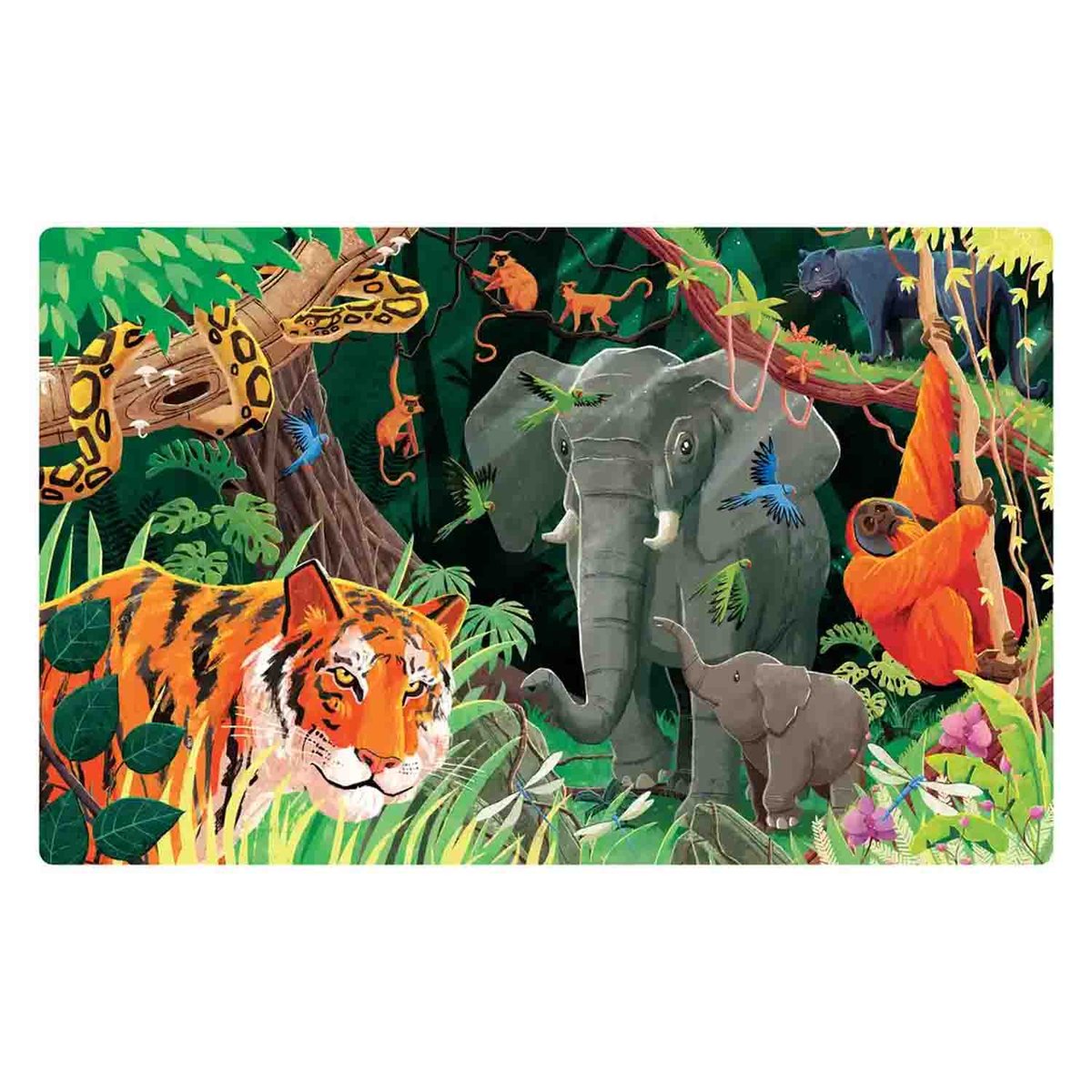 Puzzle & Livre La planète en danger, La jungle orange, SASSI