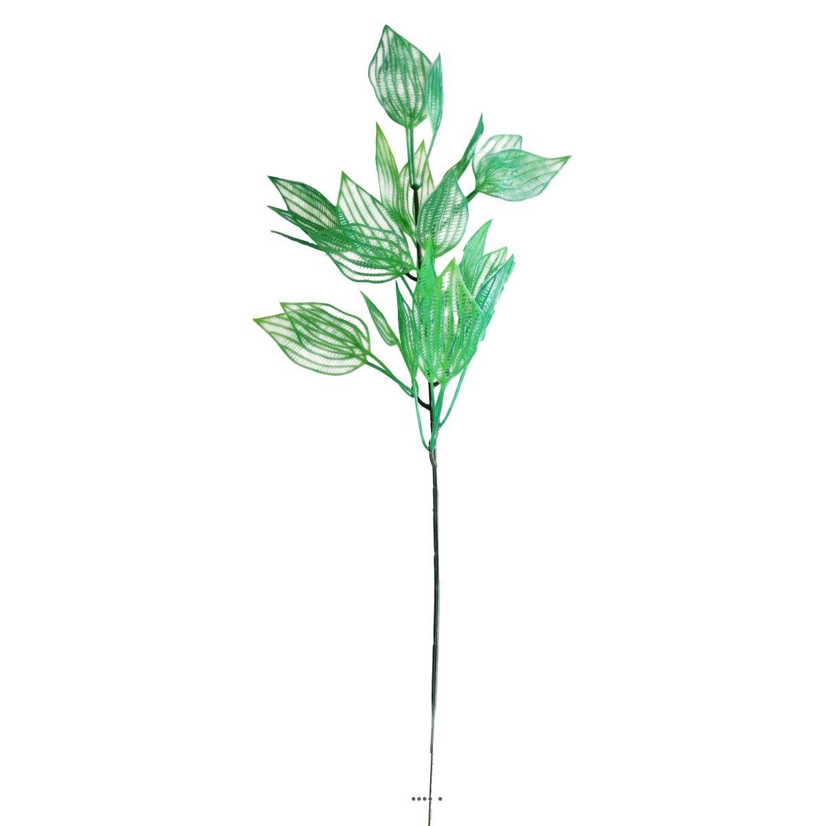 Branche de feuilles d'aponogeton fa vert, ARTIFICIELLES