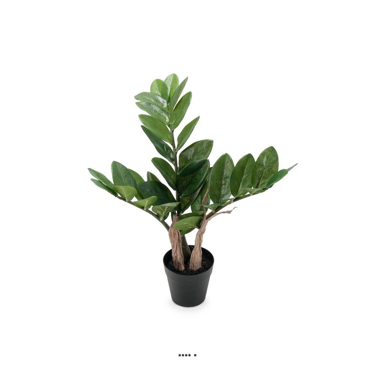 Zamioculcas zamiifolia artificiel en pot v002239, ARTIFICIELLES