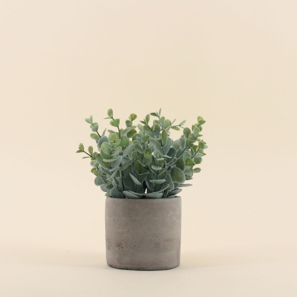 Plante artificielle pot ciment 19cm gris, ORNAMI