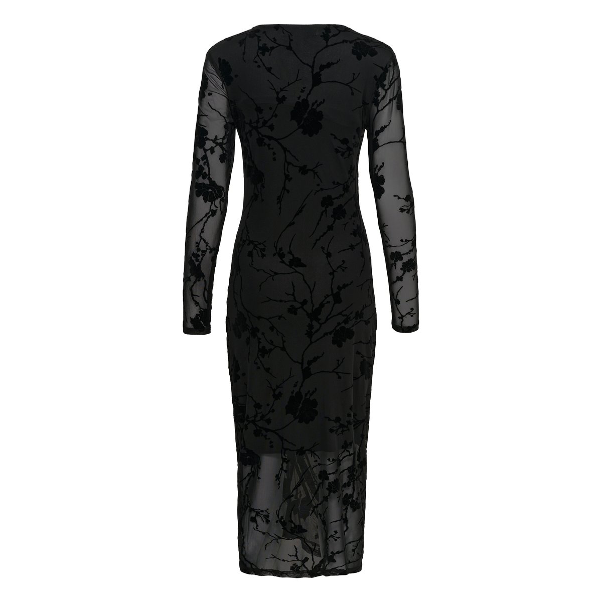 Robe noir, CULTURE