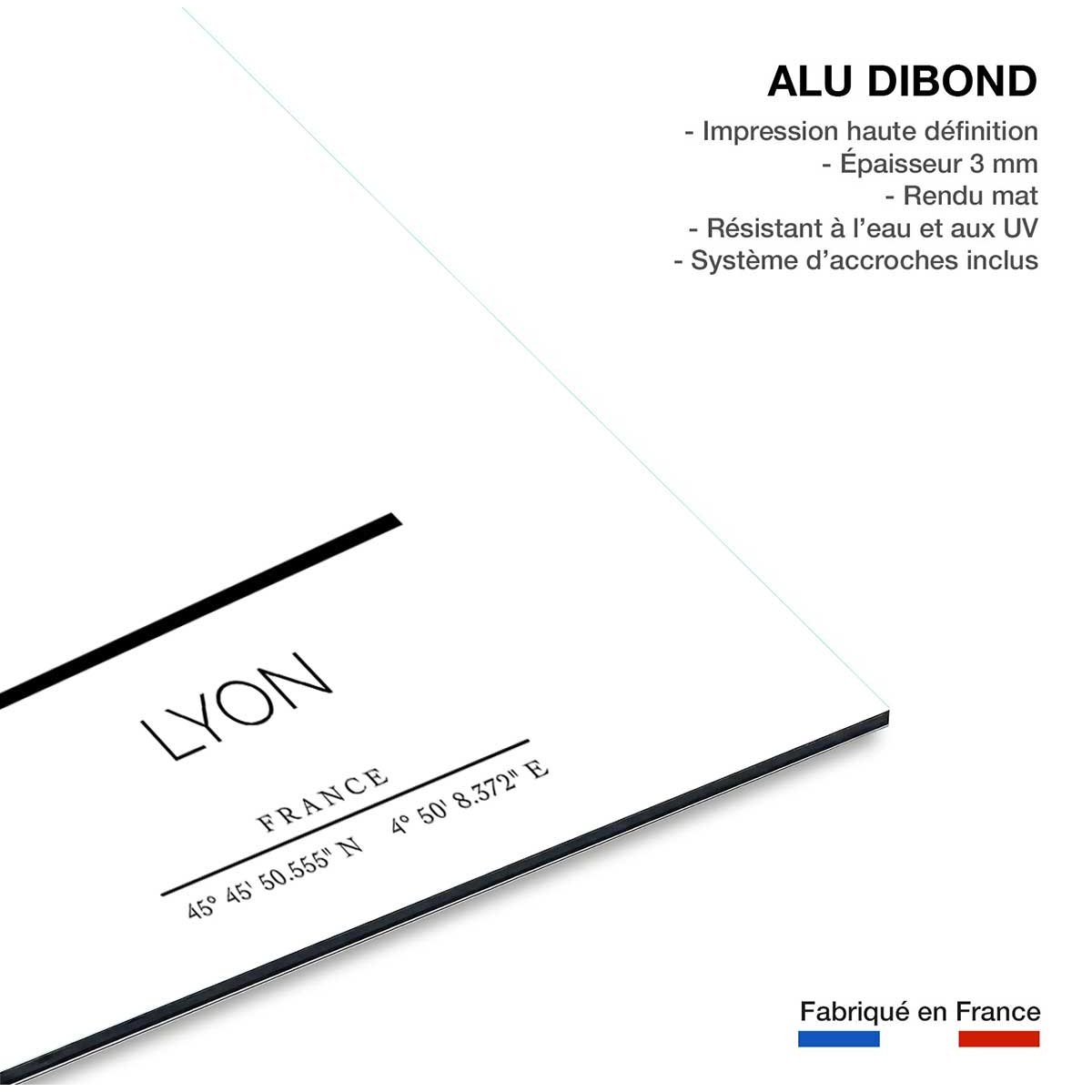 Tableau Lyon tableau alu dibond, HEXOA