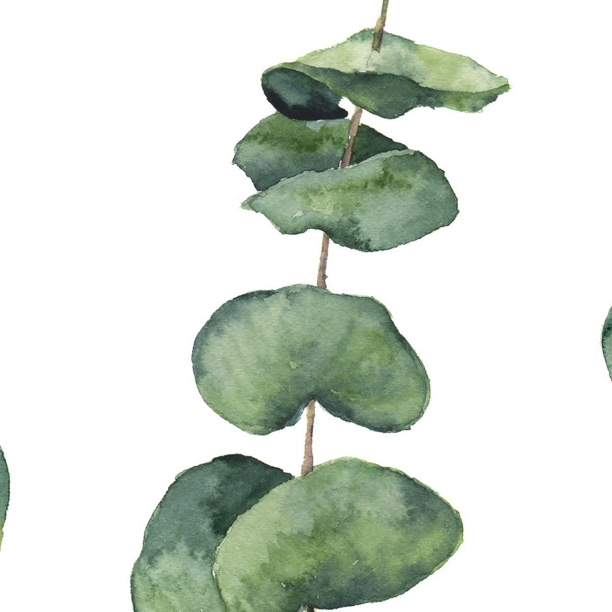 Affiche aquarelle eucalyptus affiche + cadre en bois - noir, HEXOA