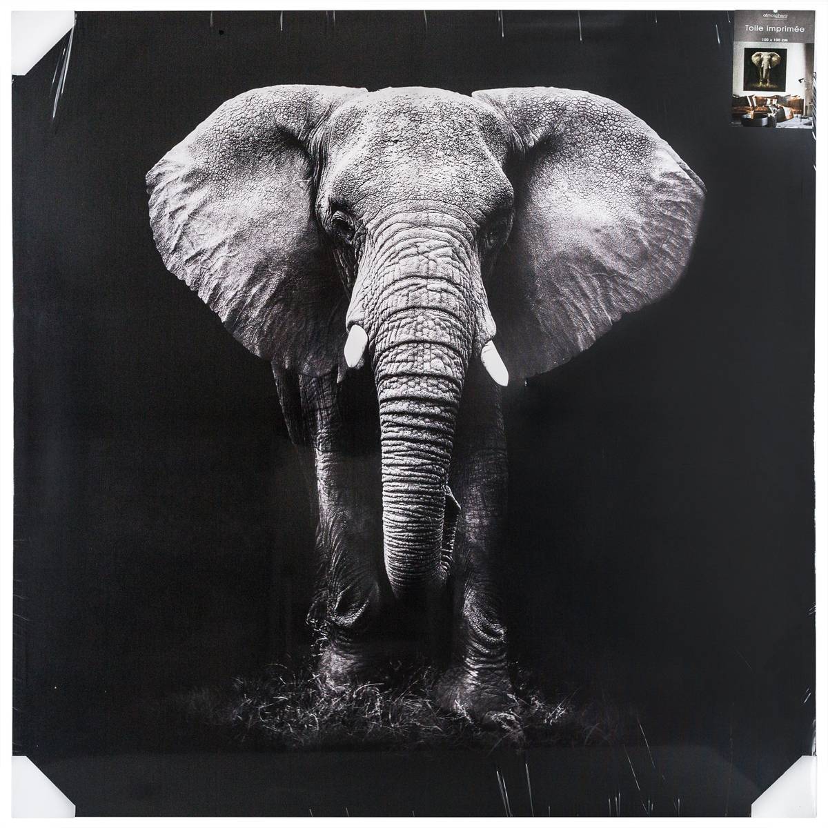 Toile imprimée éléphant ANIMAUX noir et blanc, ATMOSPHERA