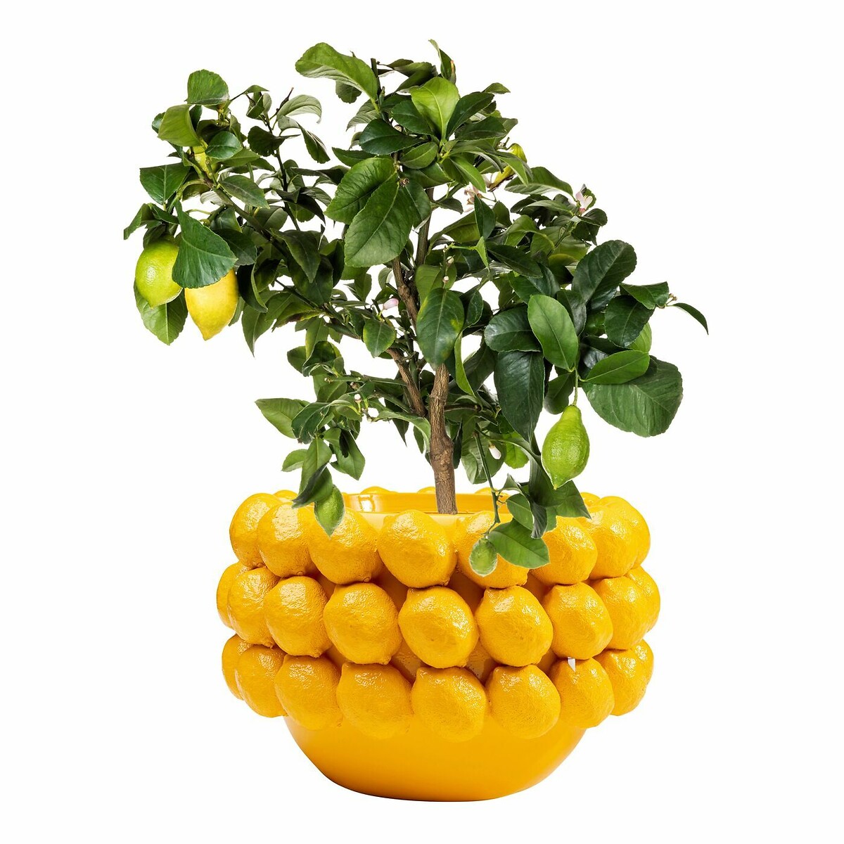 Cachepot décoratif Lemon Juice 22cm jaune, KARE DESIGN