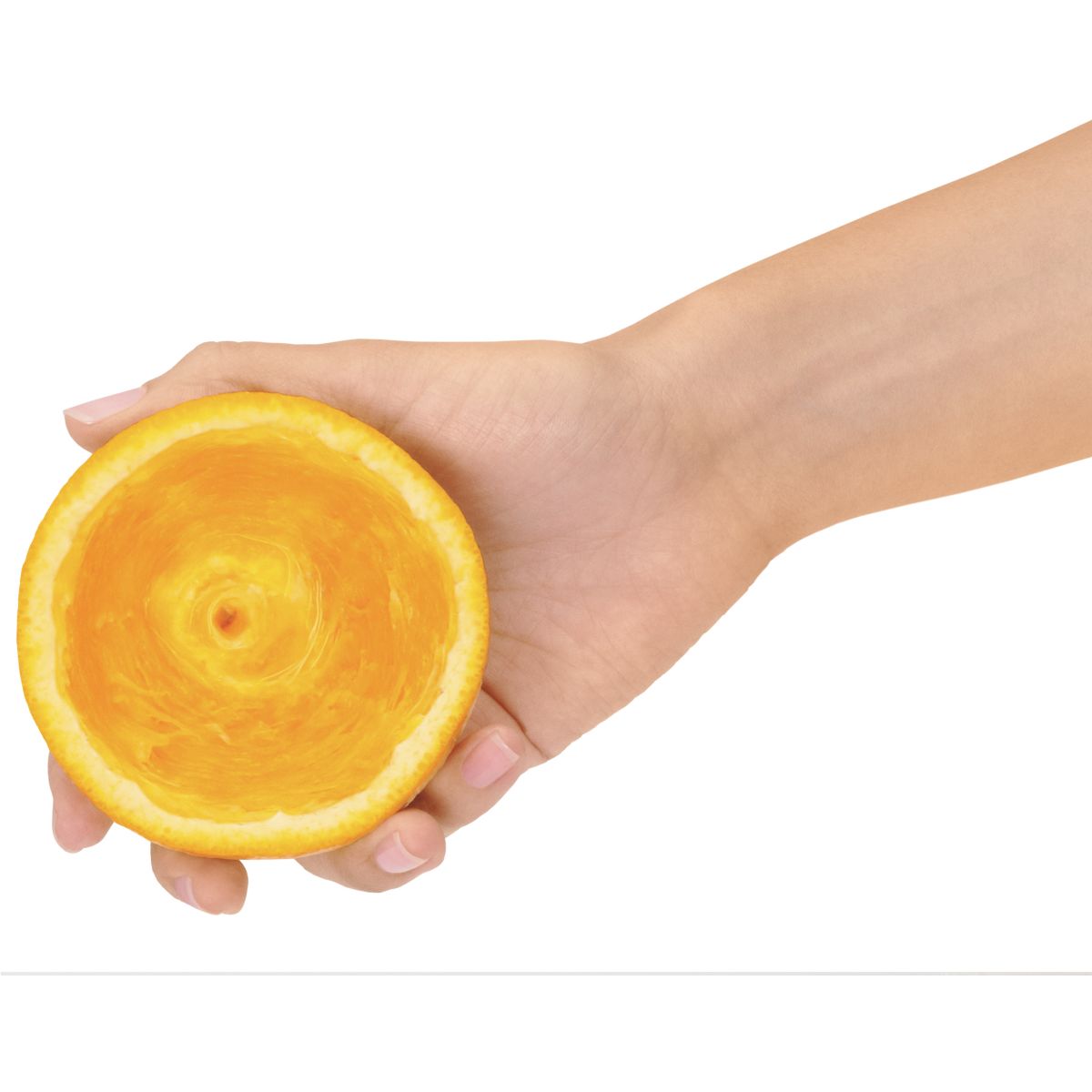 Presse-agrumes the Citrus Press Pro argent / métallique, SAGE APPLIANCES