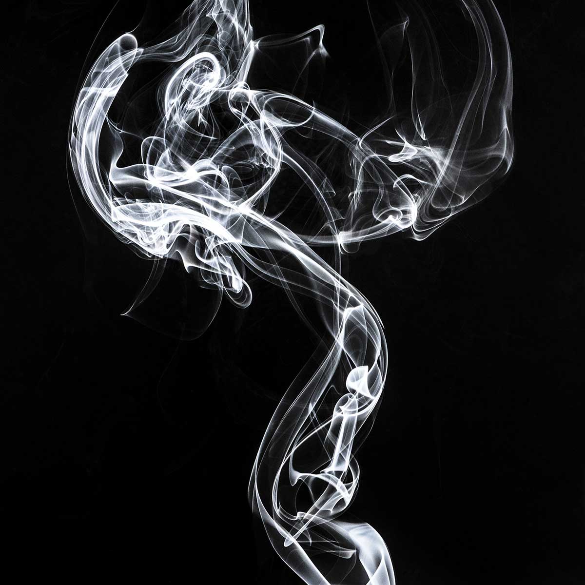 Tableau  white smoke medusa tableau alu dibond, HEXOA