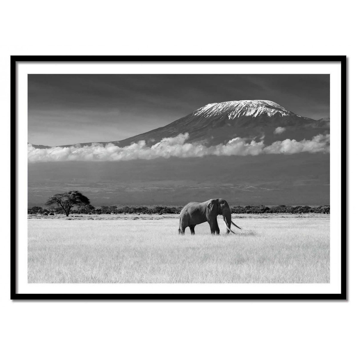 Affiche d’art et cadre noir 50 x 70 cm - Lost Colors II - ibrahim  Canakci affiche d'art, WALL EDITIONS