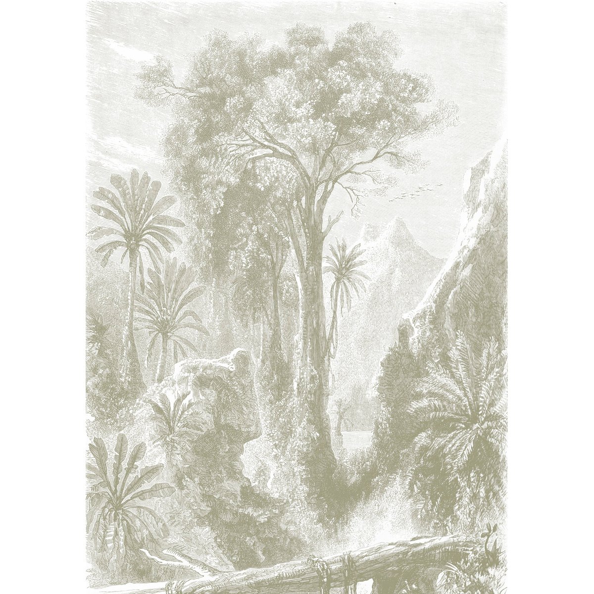 Papier peint panoramique Madagascar jungle vieux rose, LE PAPIERS DE NINON