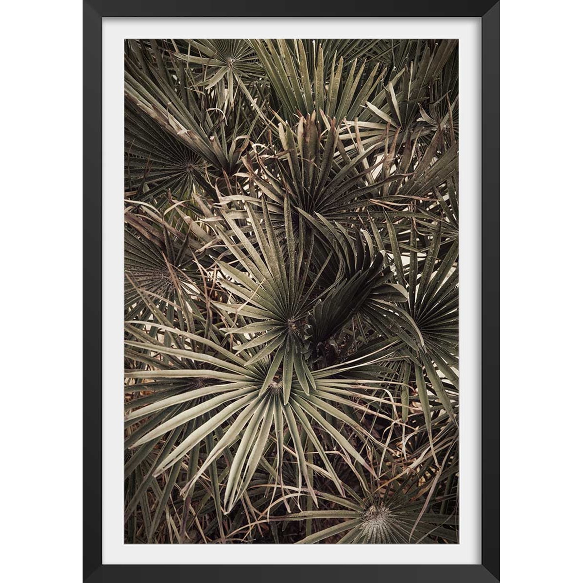 Poster tropicana mood affiche + cadre en bois - noir, HEXOA
