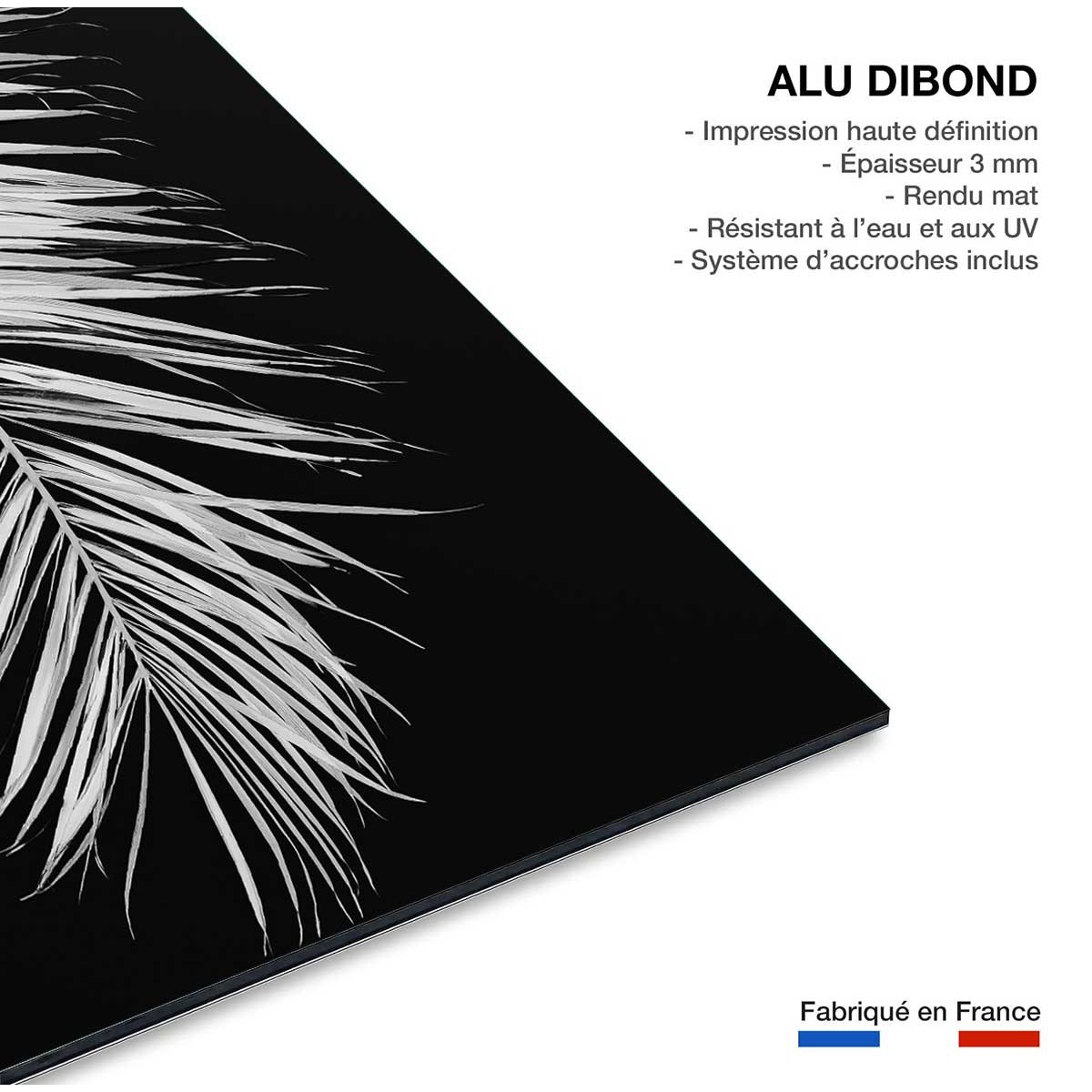 Tableau palme X tableau alu dibond, HEXOA
